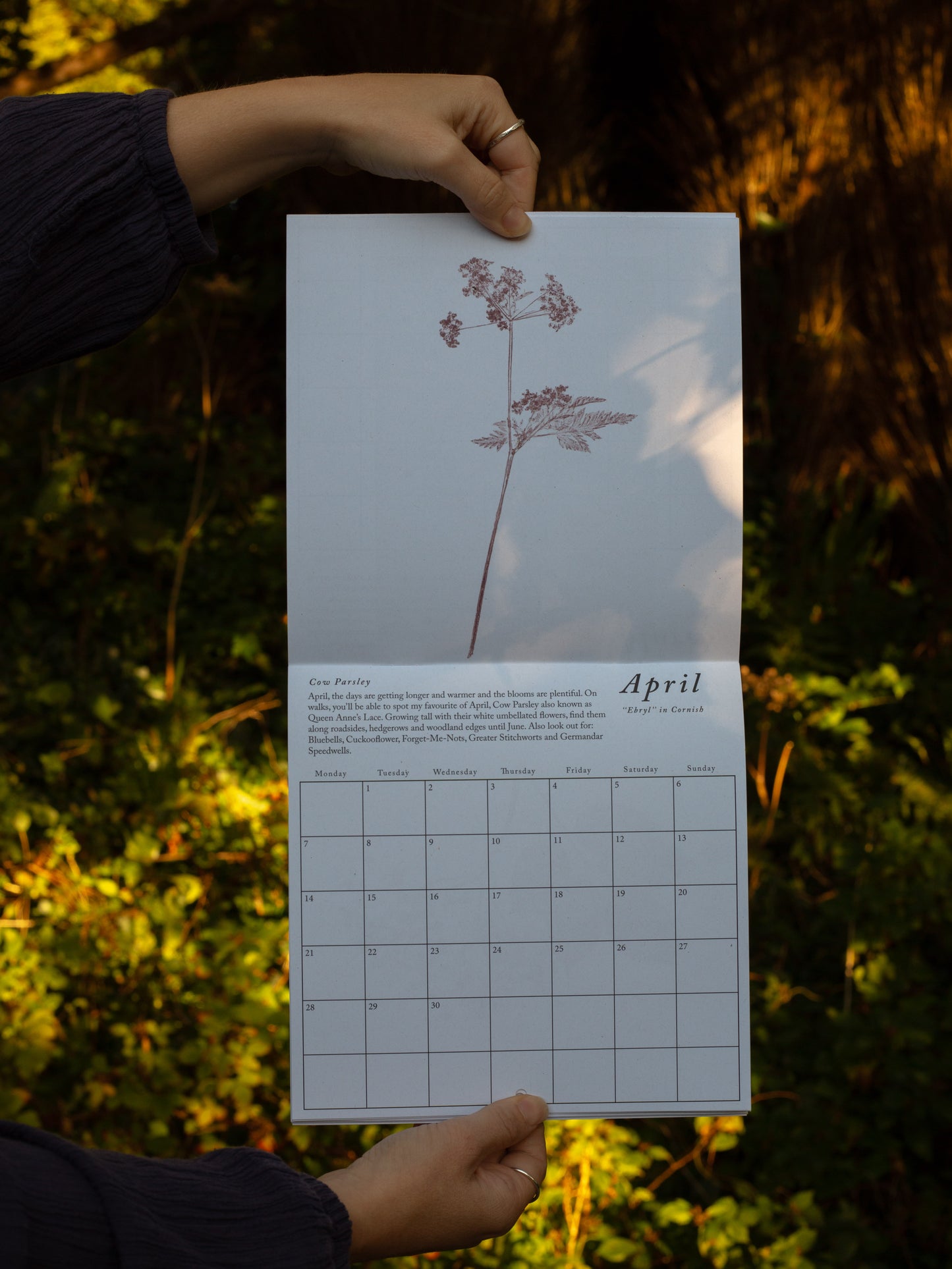 2025 Botanical Calendar