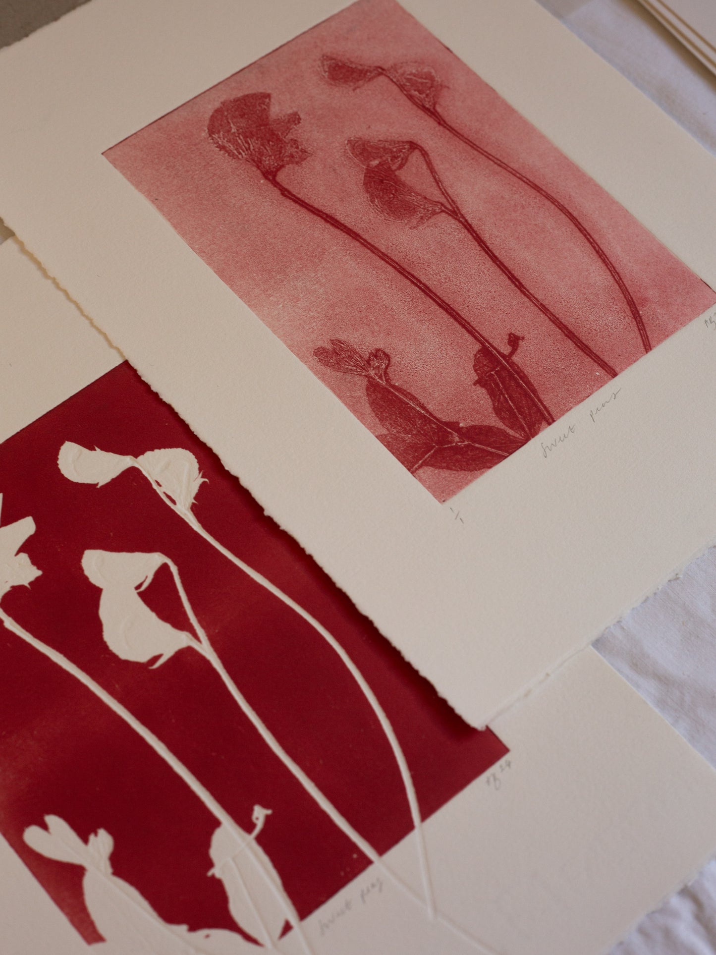 Sweet Peas 1 - Monoprint - A4 1/1