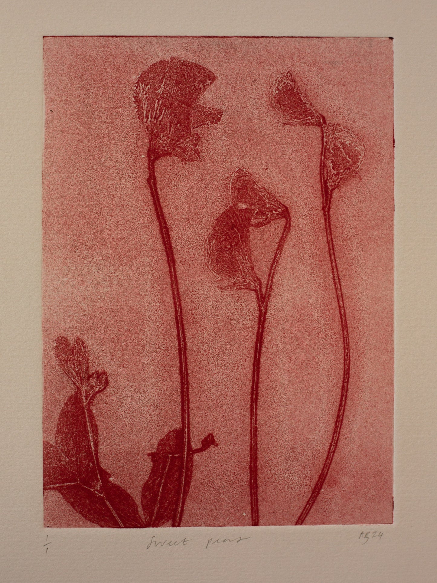 Sweet Peas 2 - Monoprint - A4 1/1