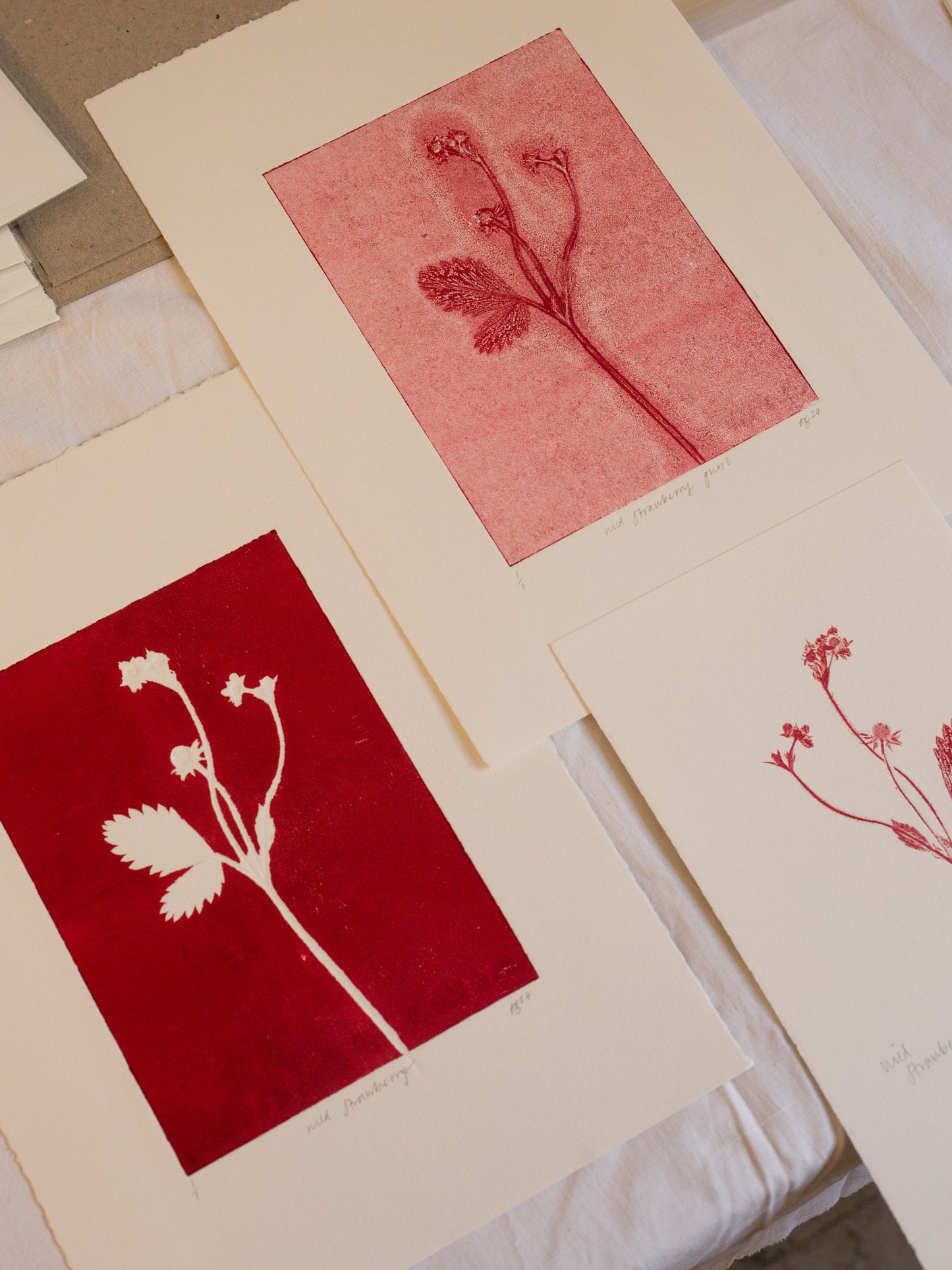 Wild Strawberry 1 - Monoprint - A4 1/1