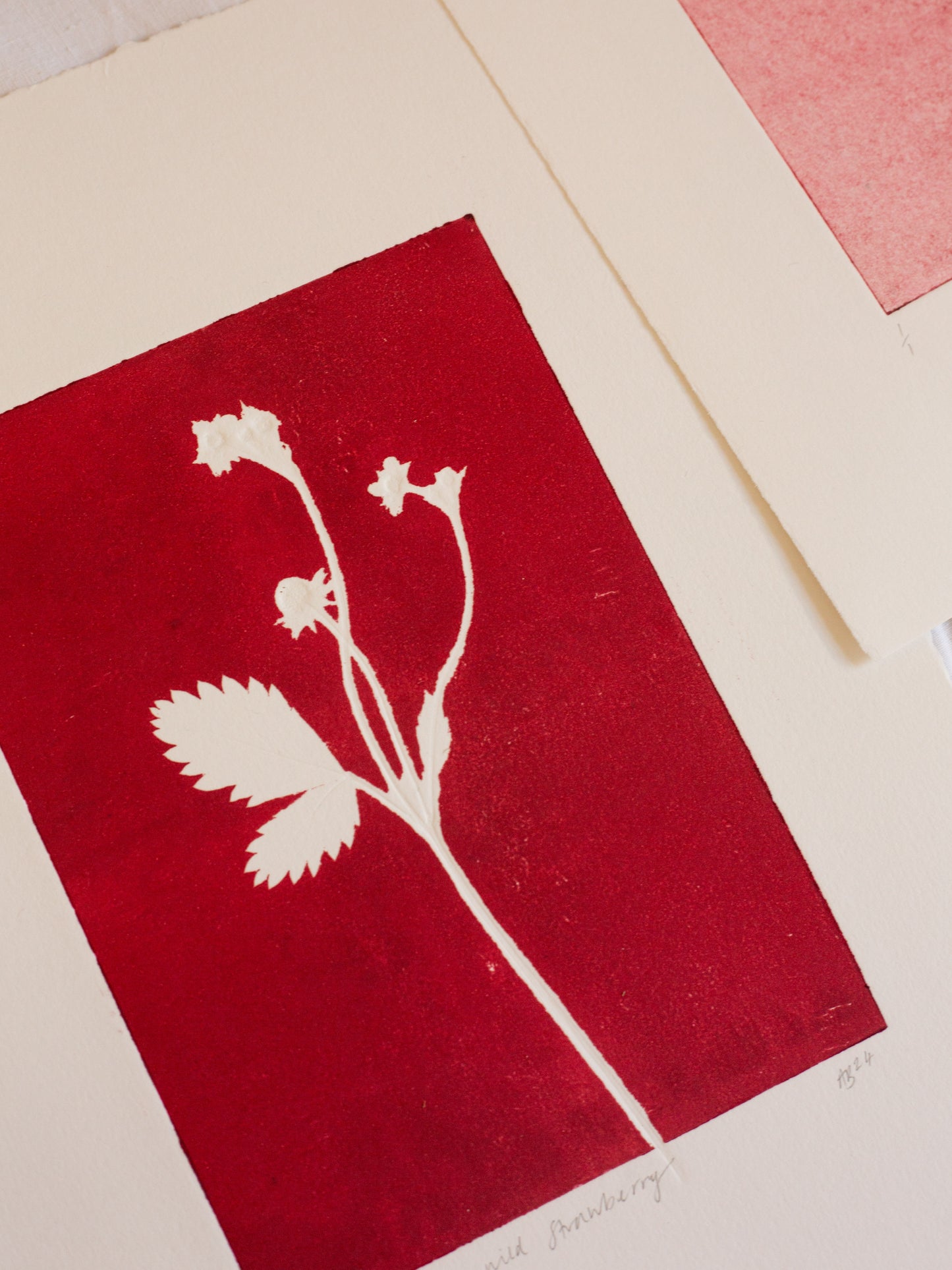 Wild Strawberry 1 - Monoprint - A4 1/1