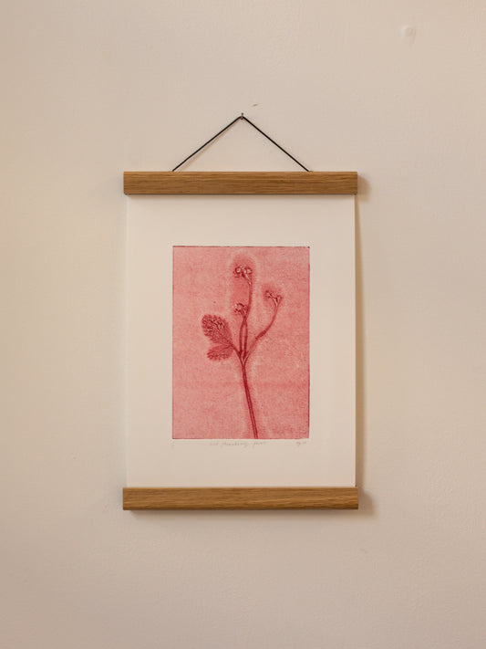 Wild Strawberry 2 - Monoprint - A4 1/1