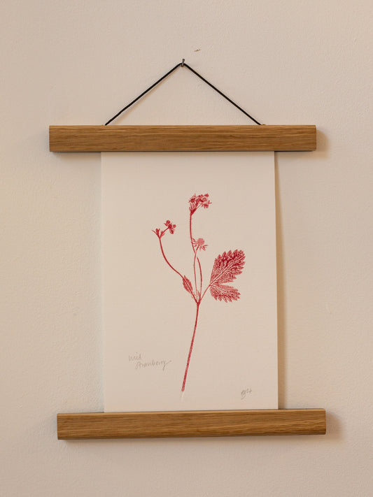 Wild Strawberry 3 - Monoprint - 1/1