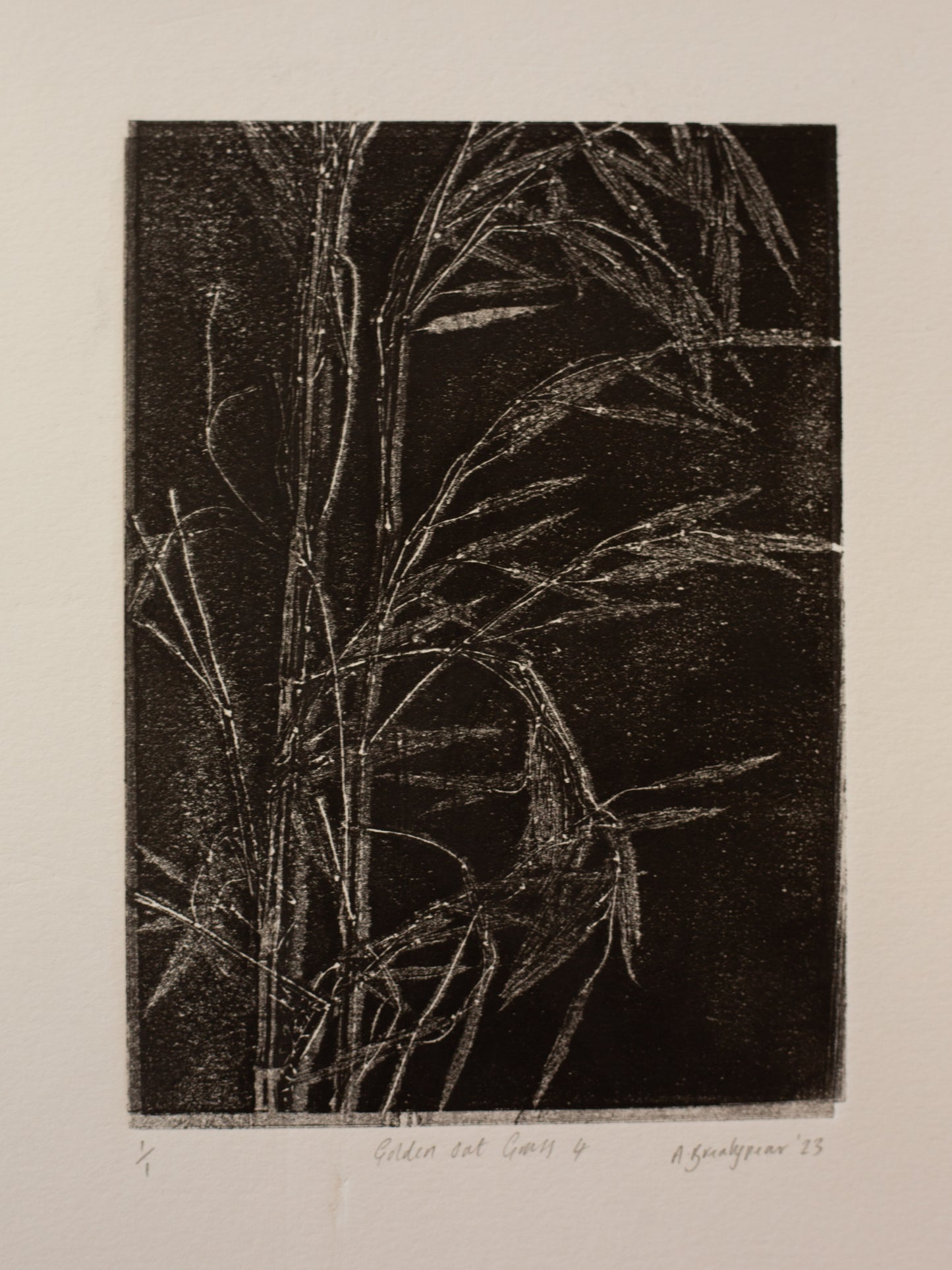 Golden Oat Grass 4 - Monoprint - A4 1/1