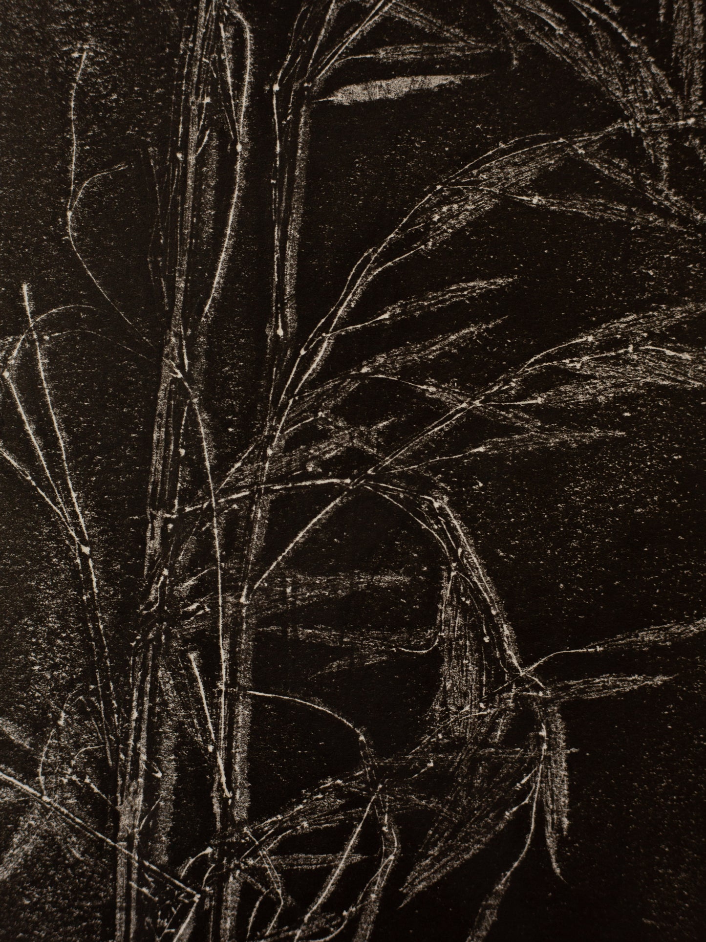 Golden Oat Grass 4 - Monoprint - A4 1/1