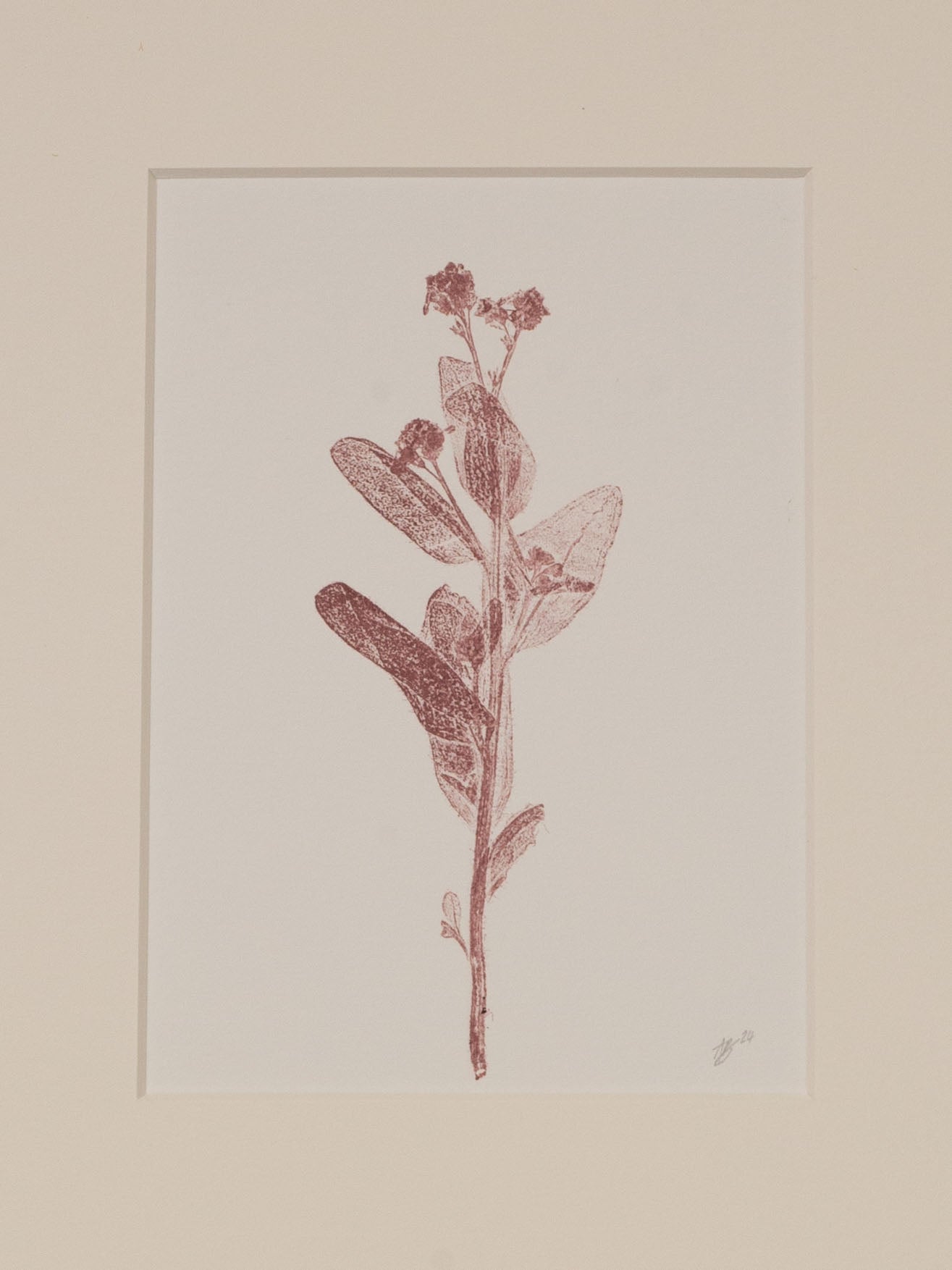 Forget-Me-Not 3, Mauve Monoprint