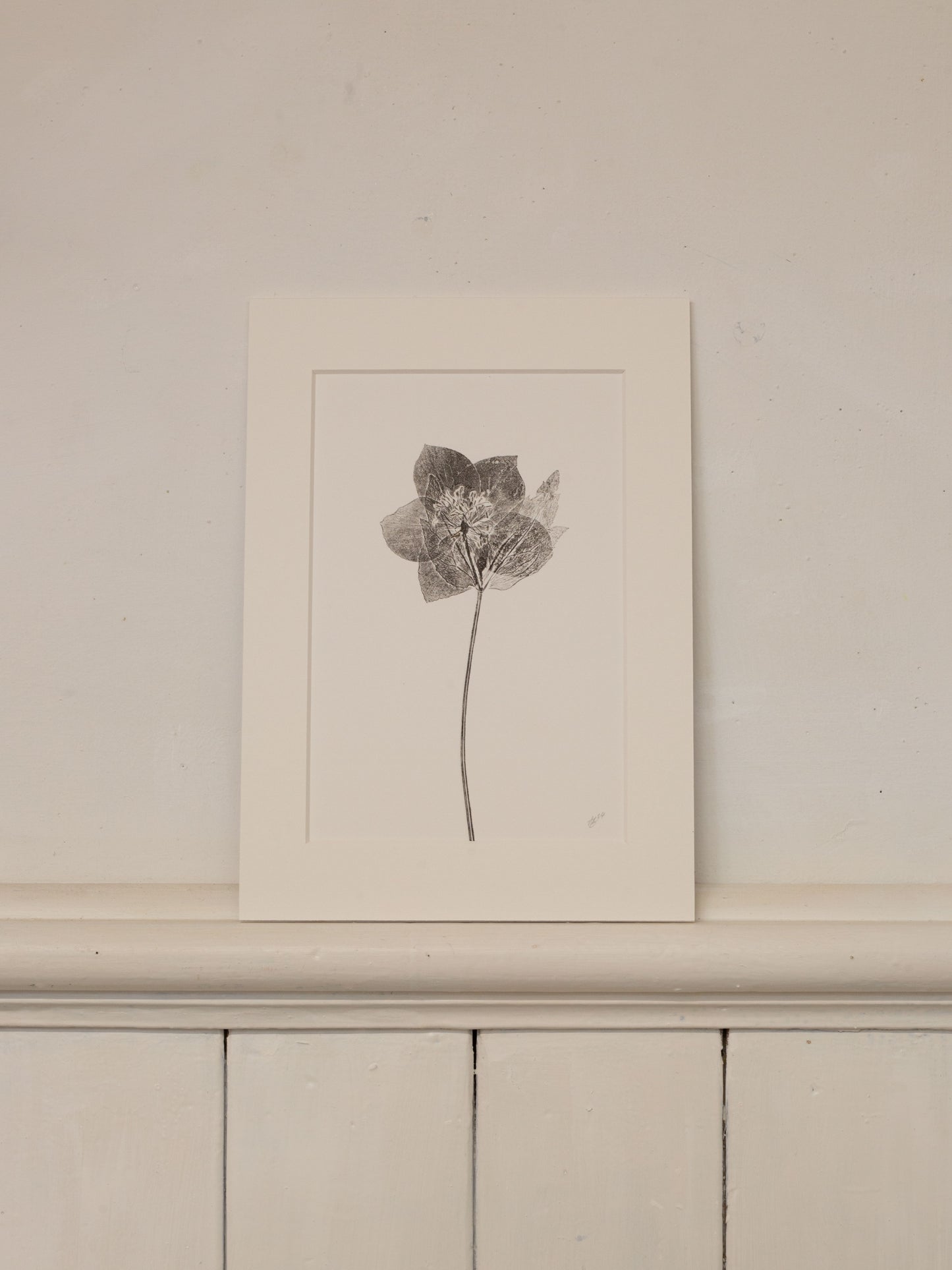 Hellebore 3, Botanical Black Monoprint