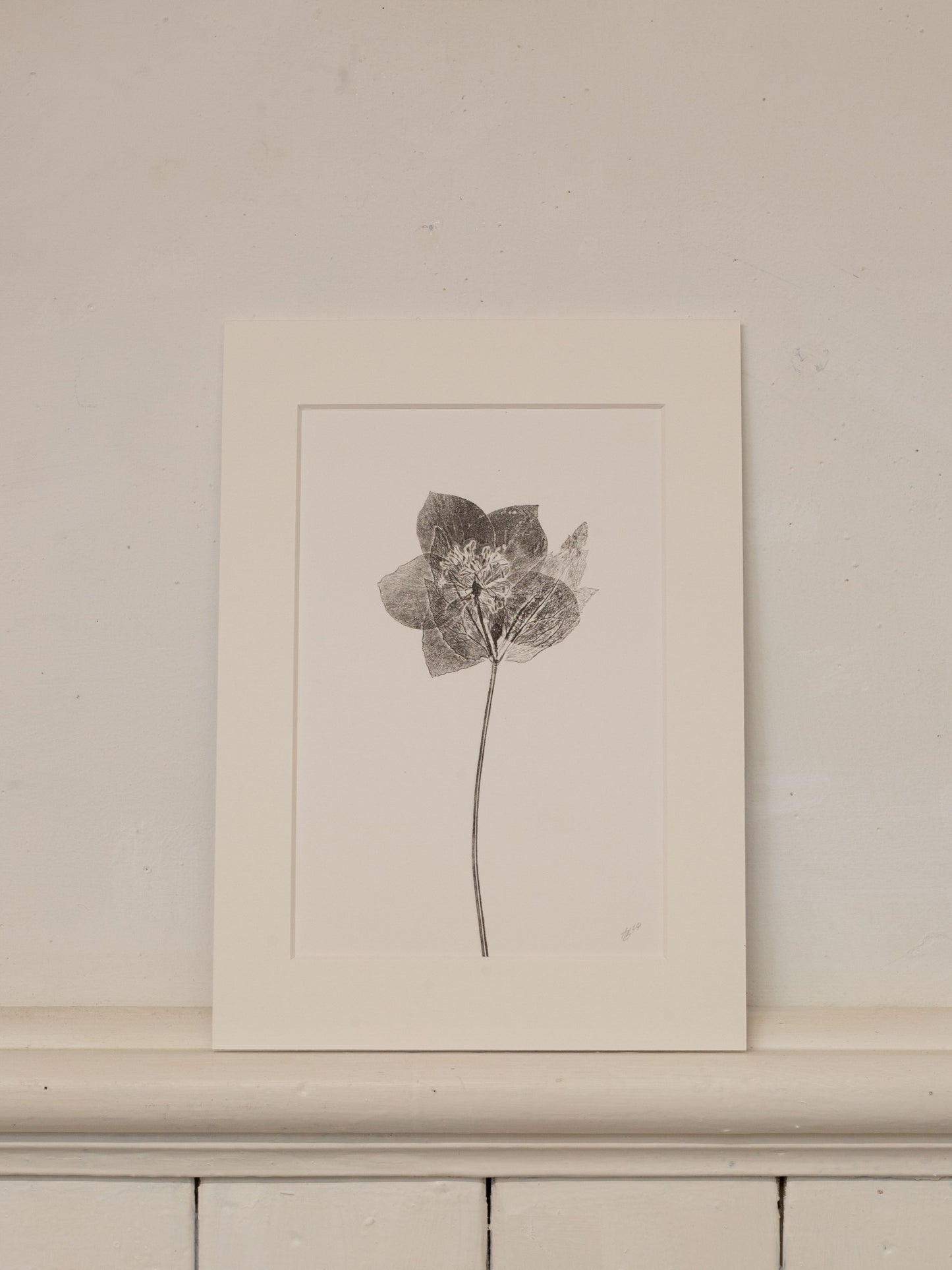Hellebore 3, Botanical Black Monoprint
