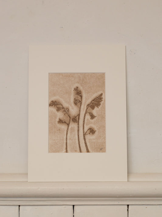 Bluebells 1, Ghost Monoprint, Original Botanical Print