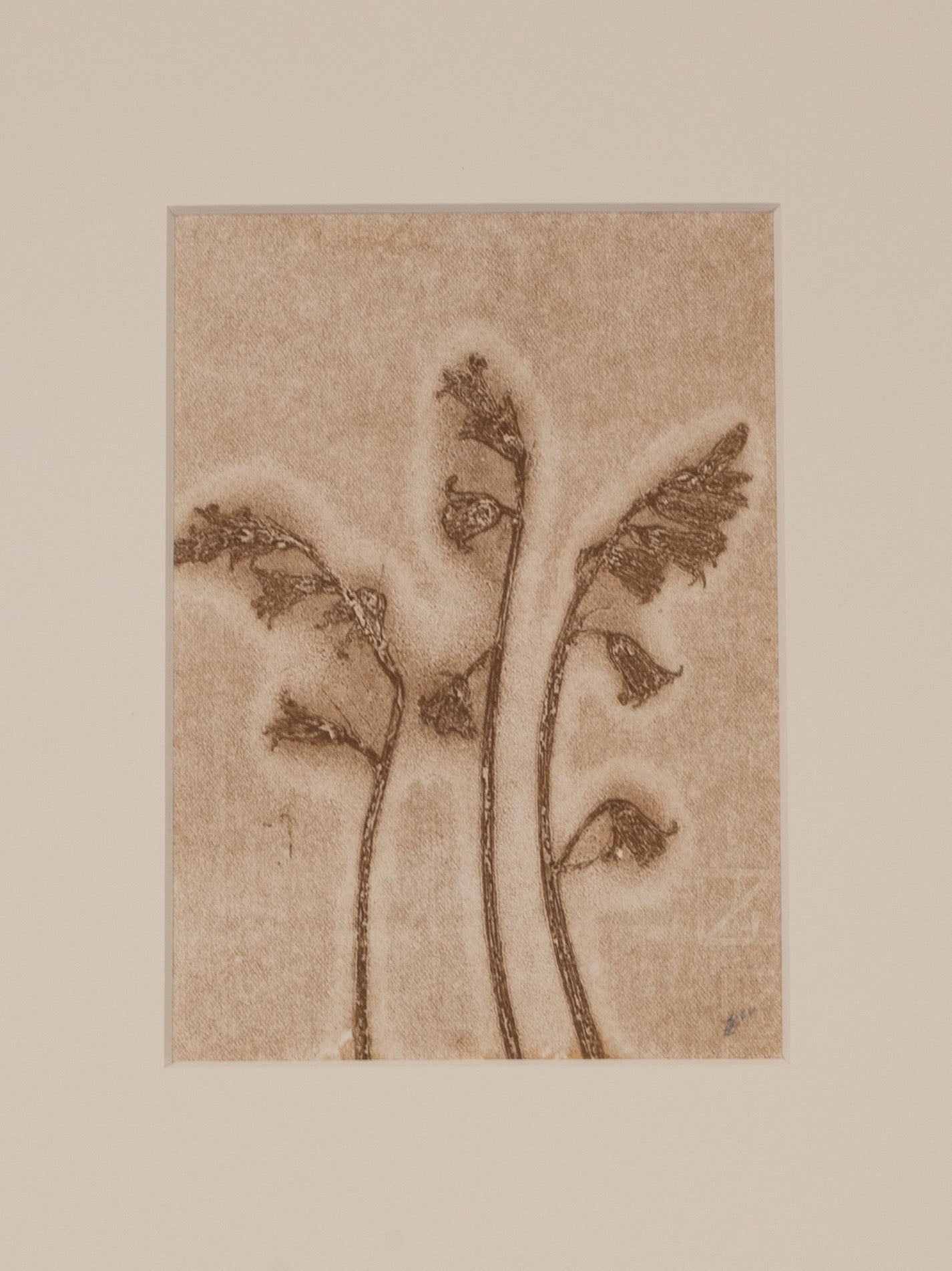 Bluebells 1, Ghost Monoprint, Original Botanical Print