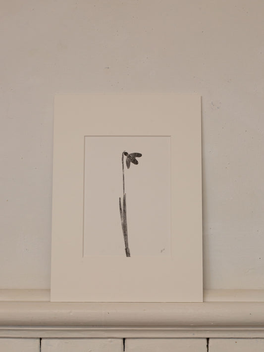 Snowdrop 2, Black Monoprint