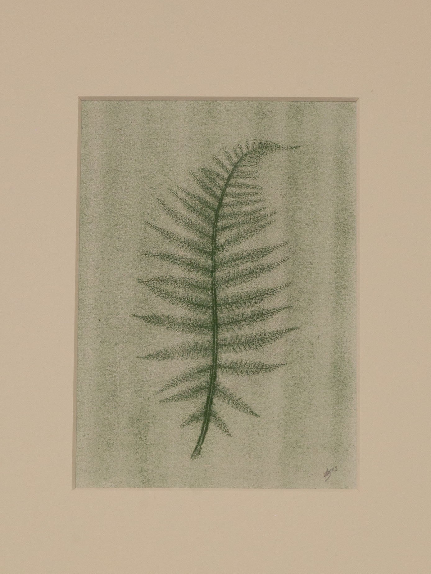 Fern 05 Ghost, Botanical Monoprint 1/1