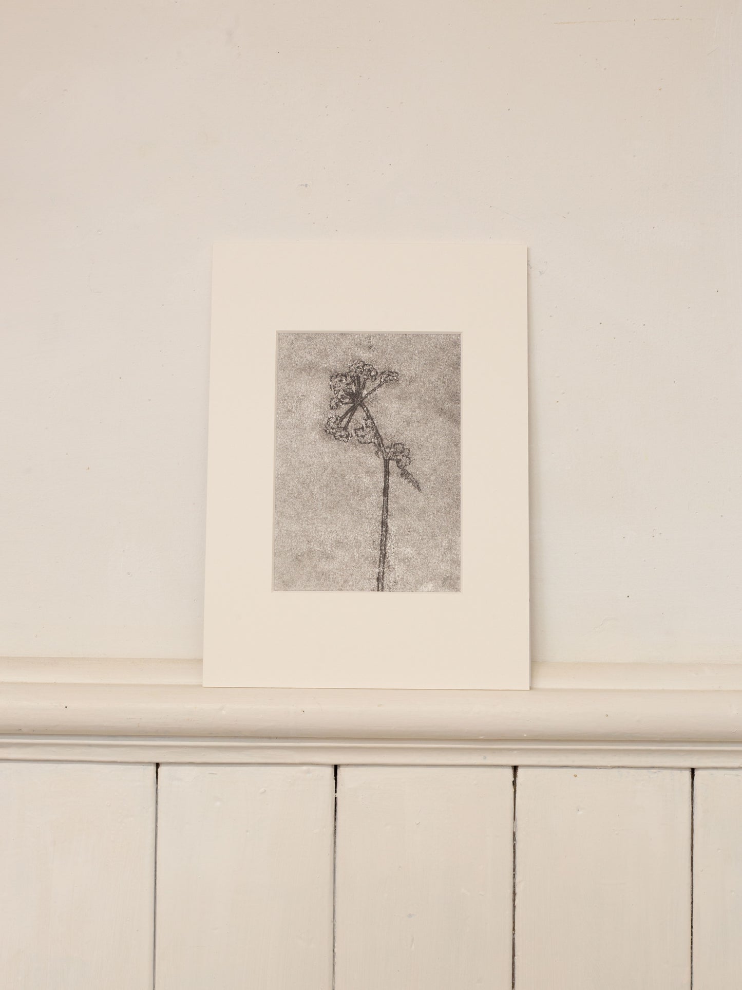 Cow Parsley 2, Dark Grey Ghost Monoprint
