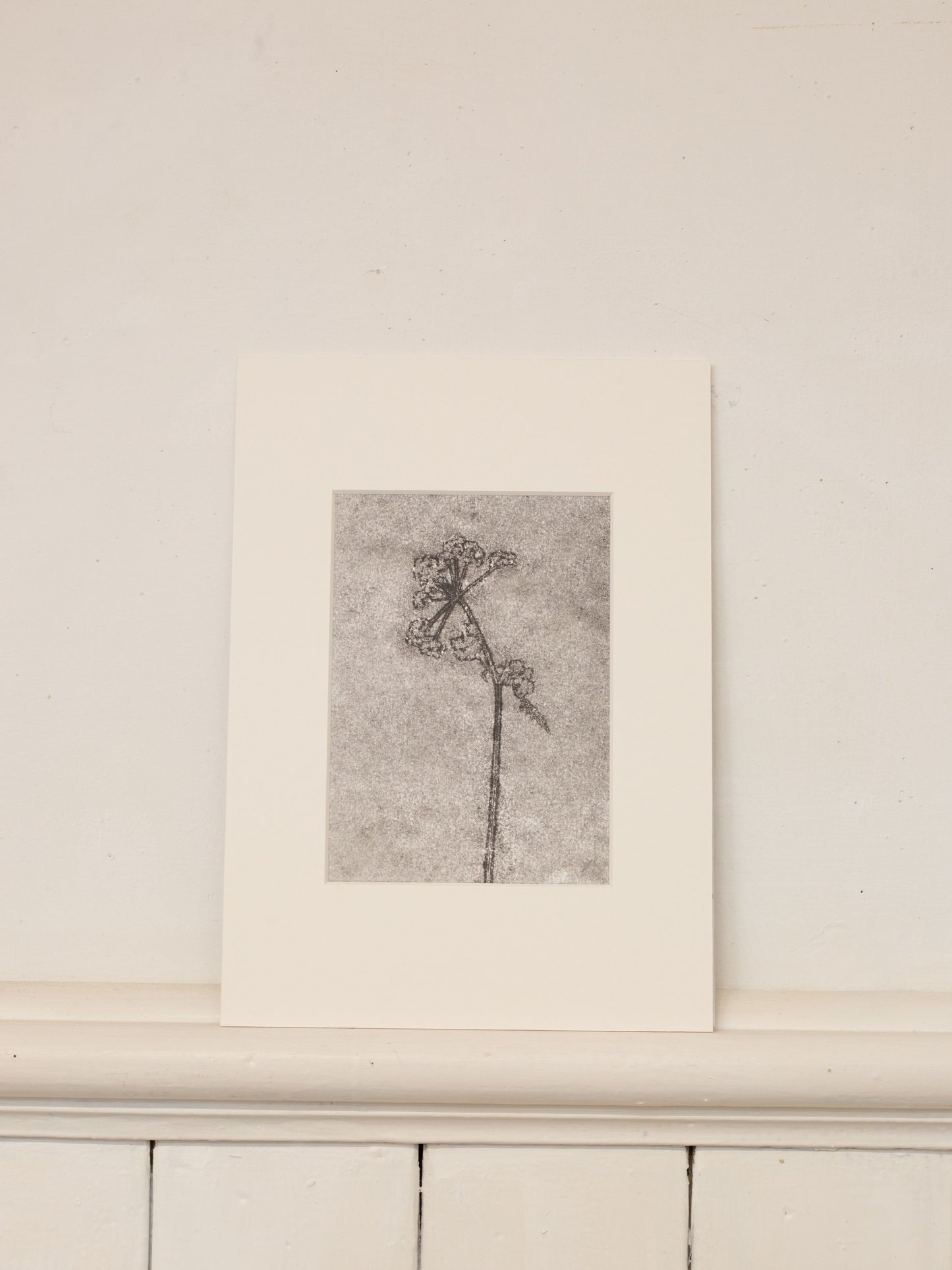 Cow Parsley 2, Dark Grey Ghost Monoprint