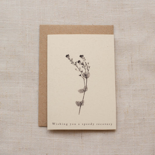 Speedwell Flower Greeting Card A7 - Wishing You A Speedy Recovery - Get well soon card