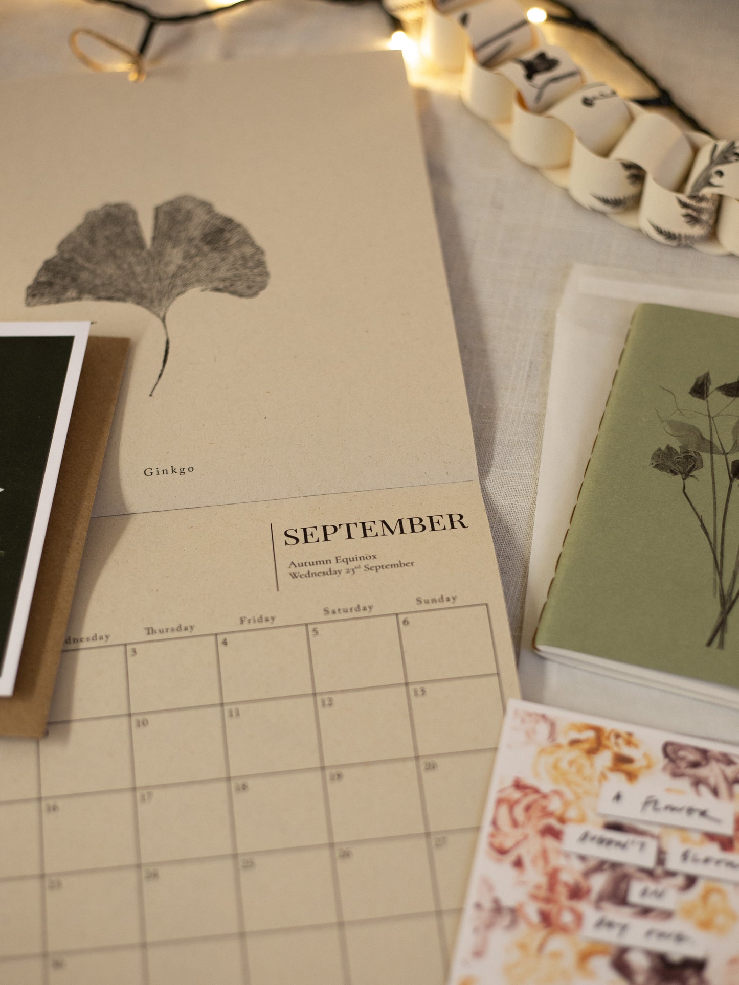 Botanical Art Gift Bundle for £35