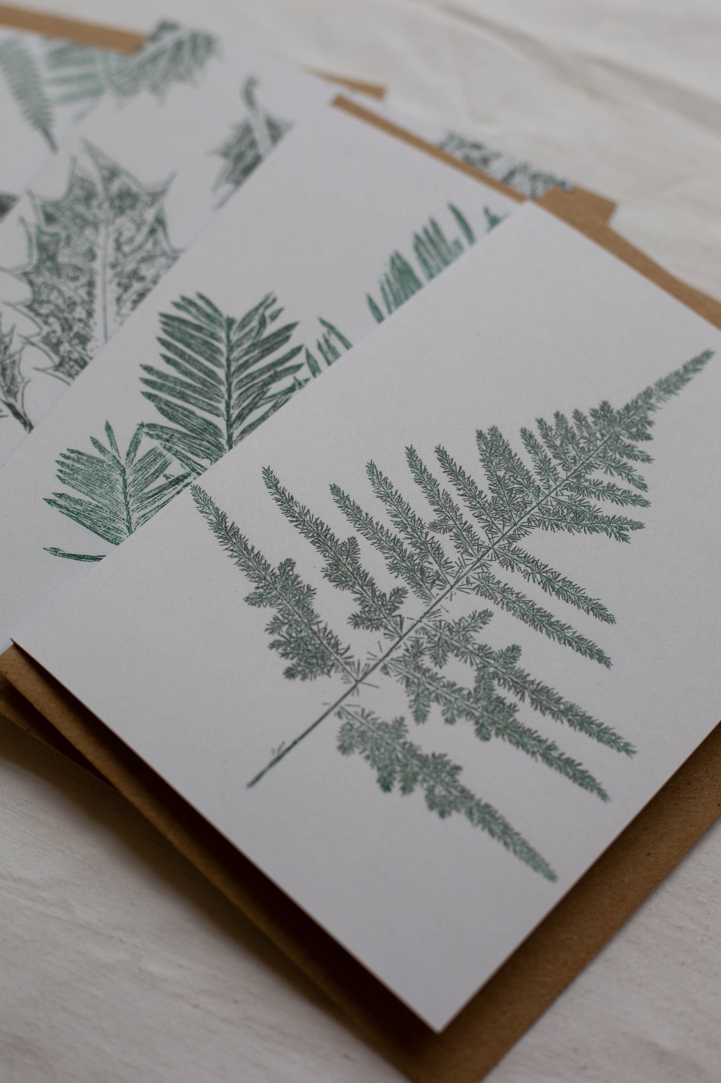 Botanical Christmas Cards - Pack of 4