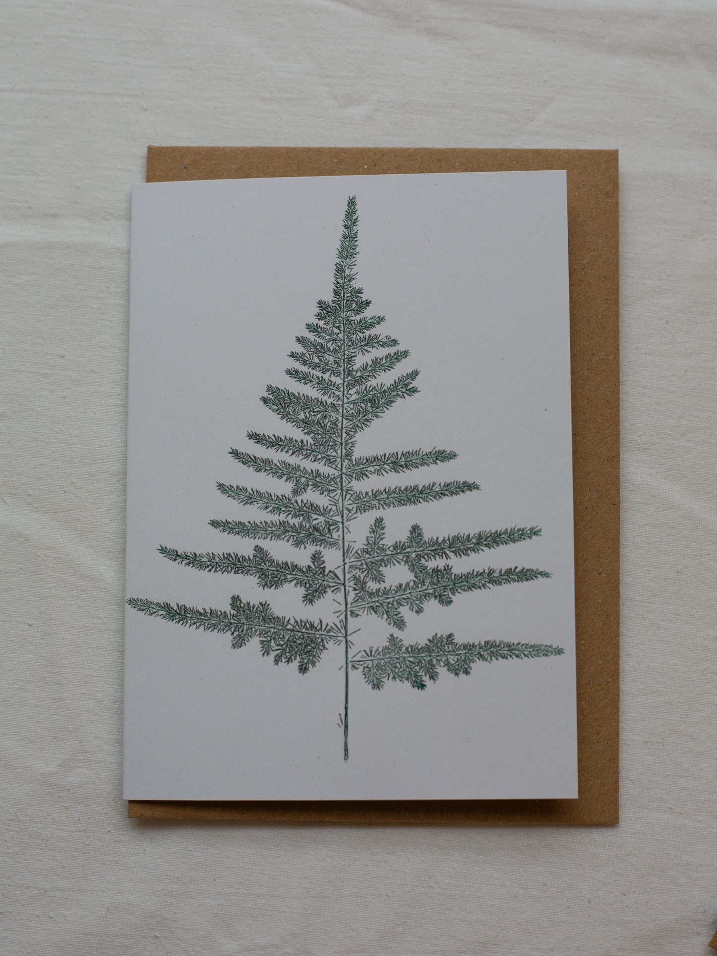 Botanical Christmas Cards - Pack of 4