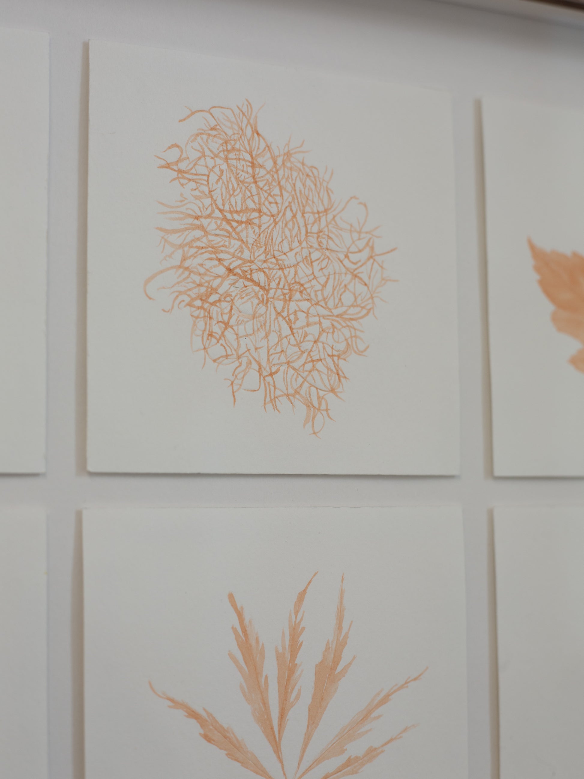 Decorative wall art with abstract patterns on a light background