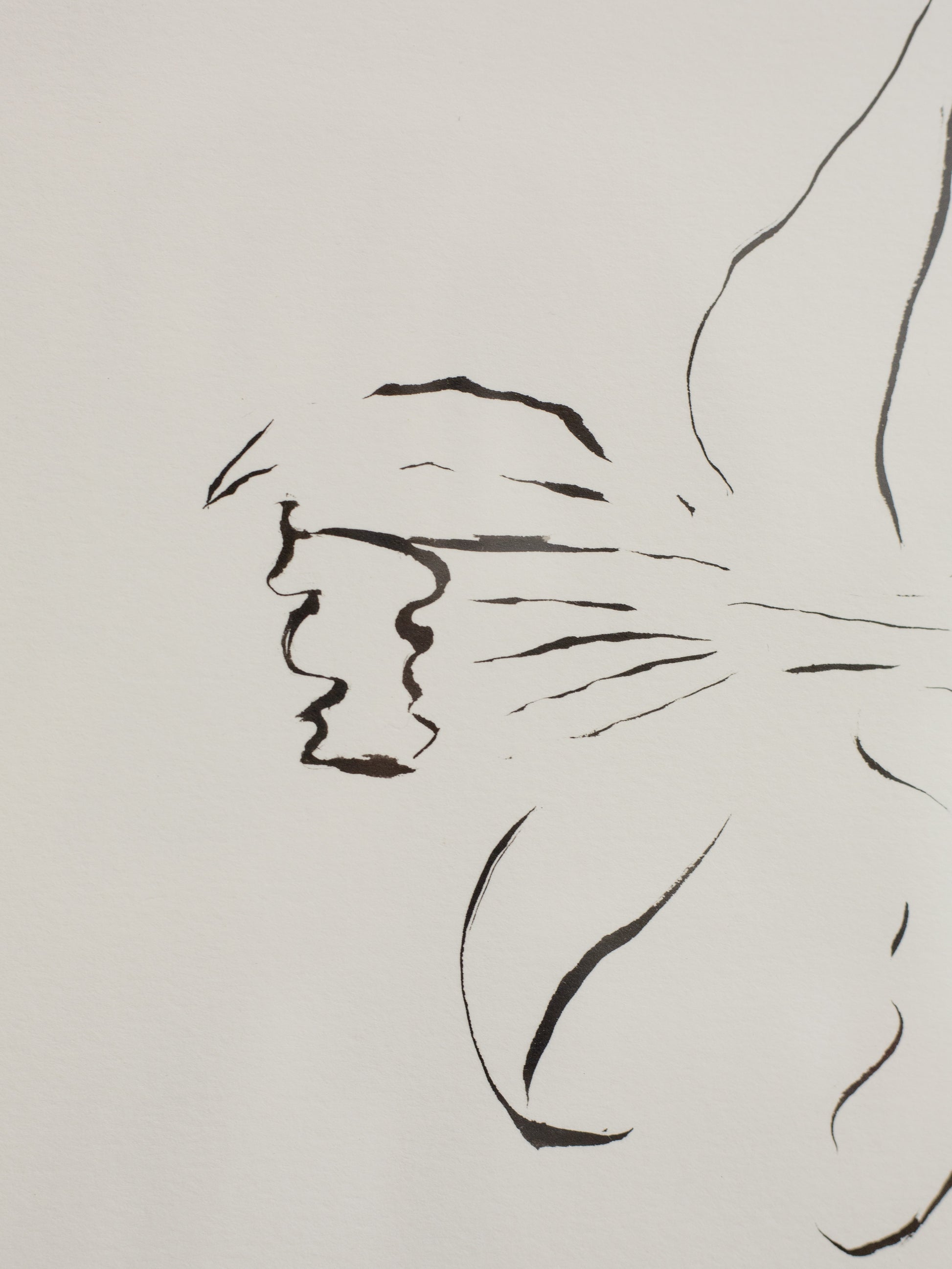 Close up of the floral ink drawing