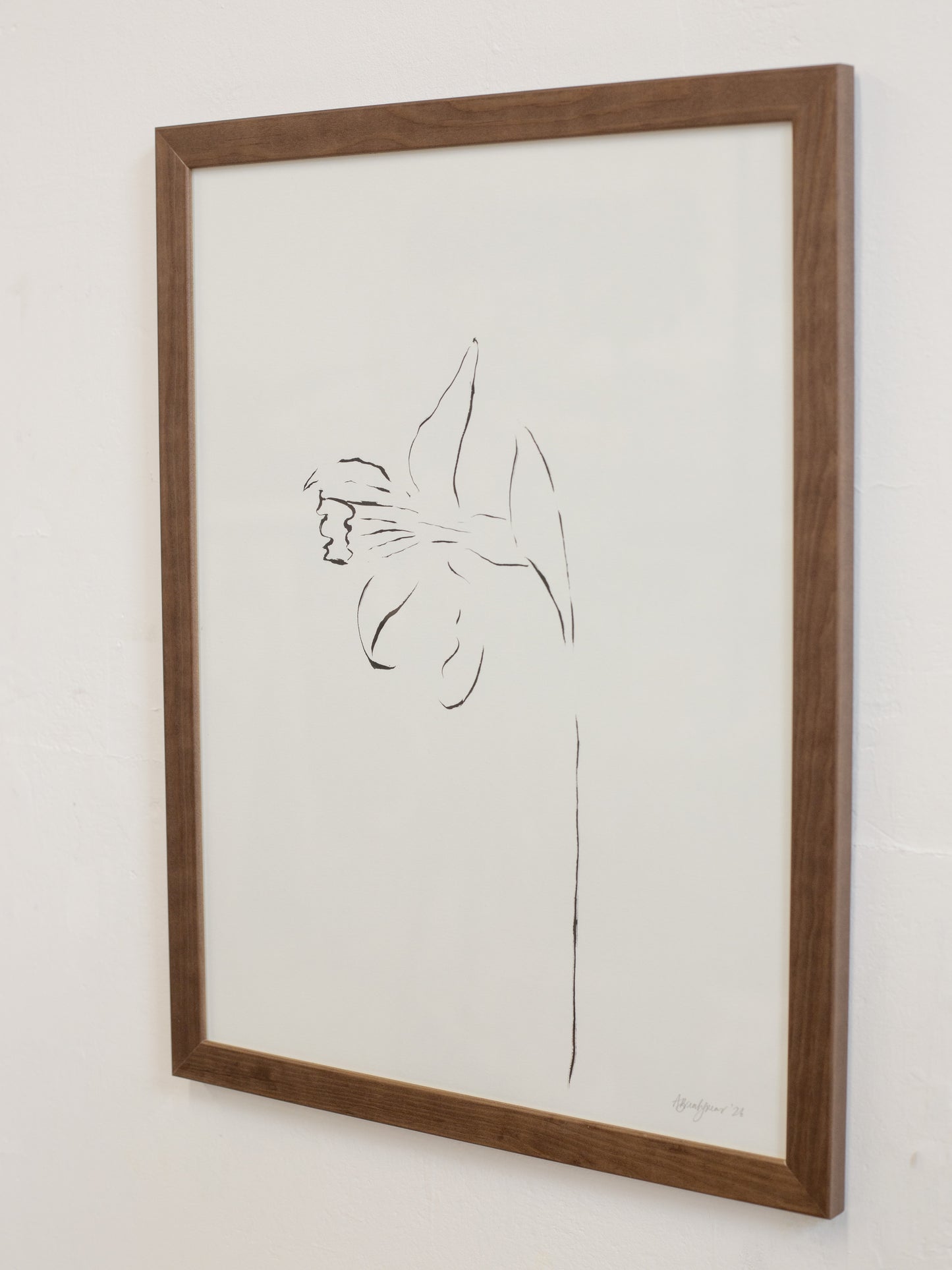 Framed line drawing of a flower against a white wall
