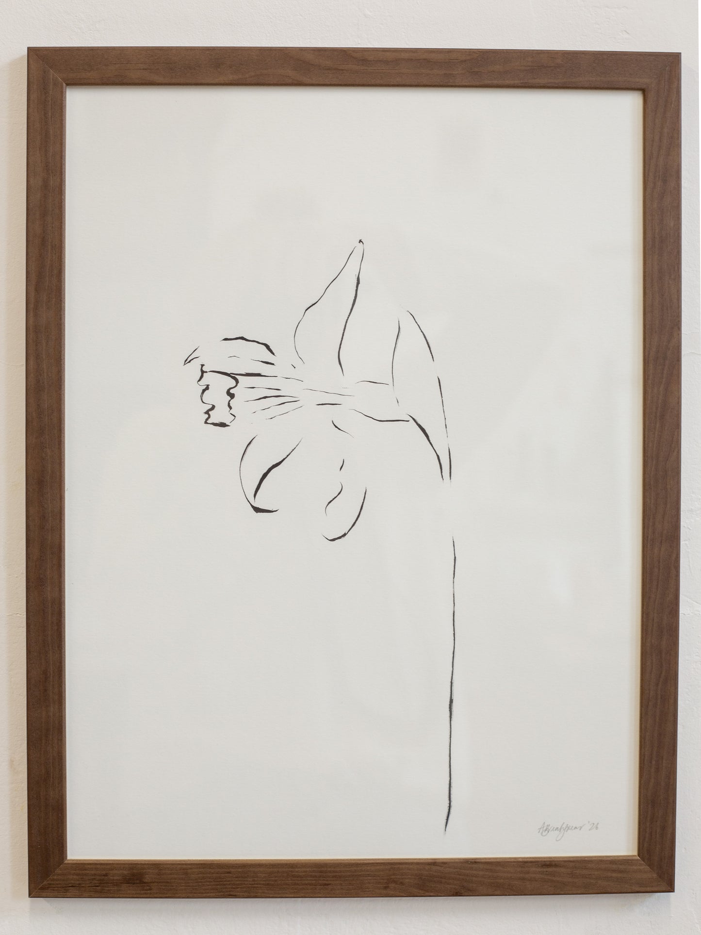 Framed line drawing of a flower on a white background