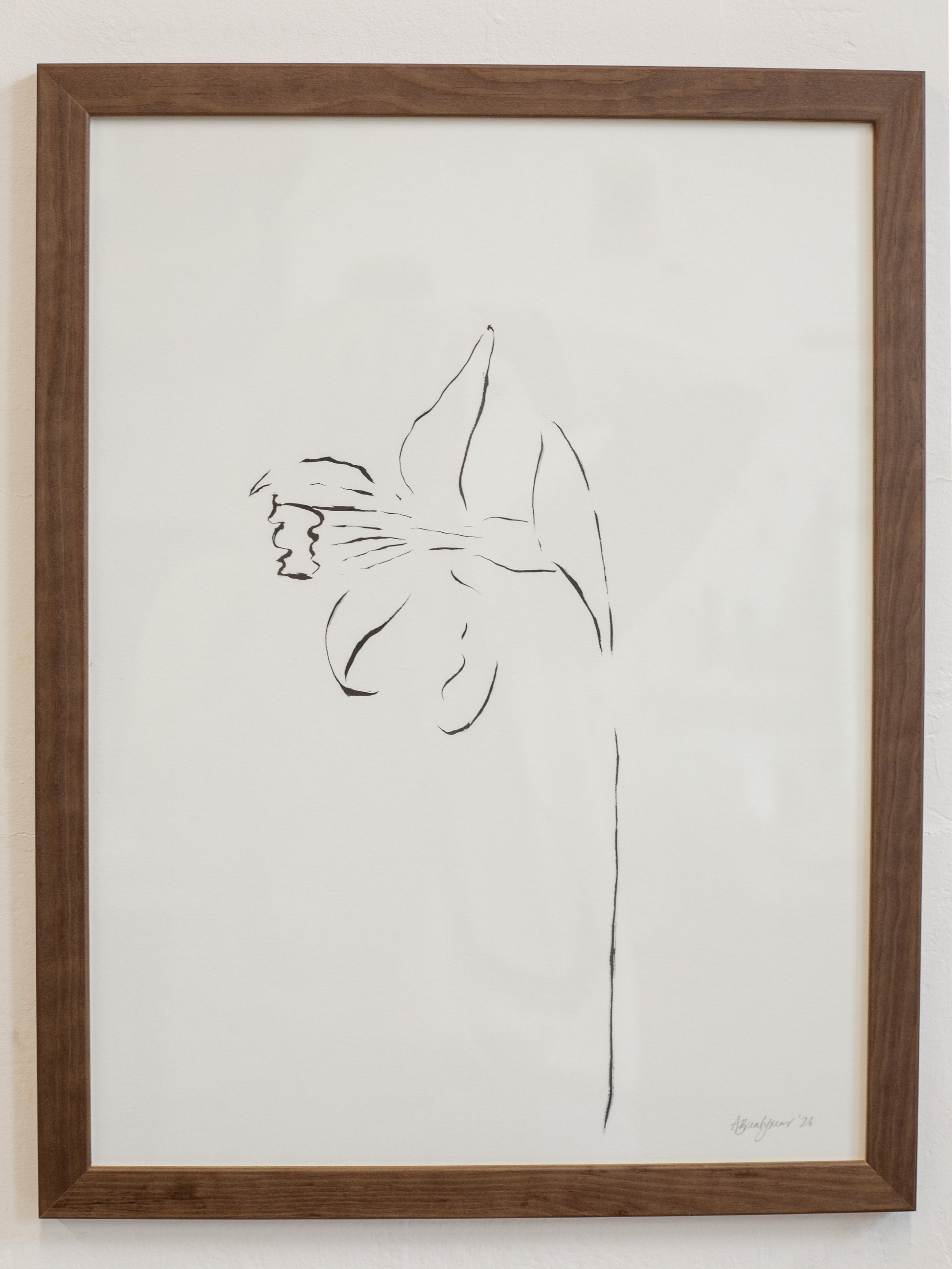 Framed line drawing of a flower on a white background