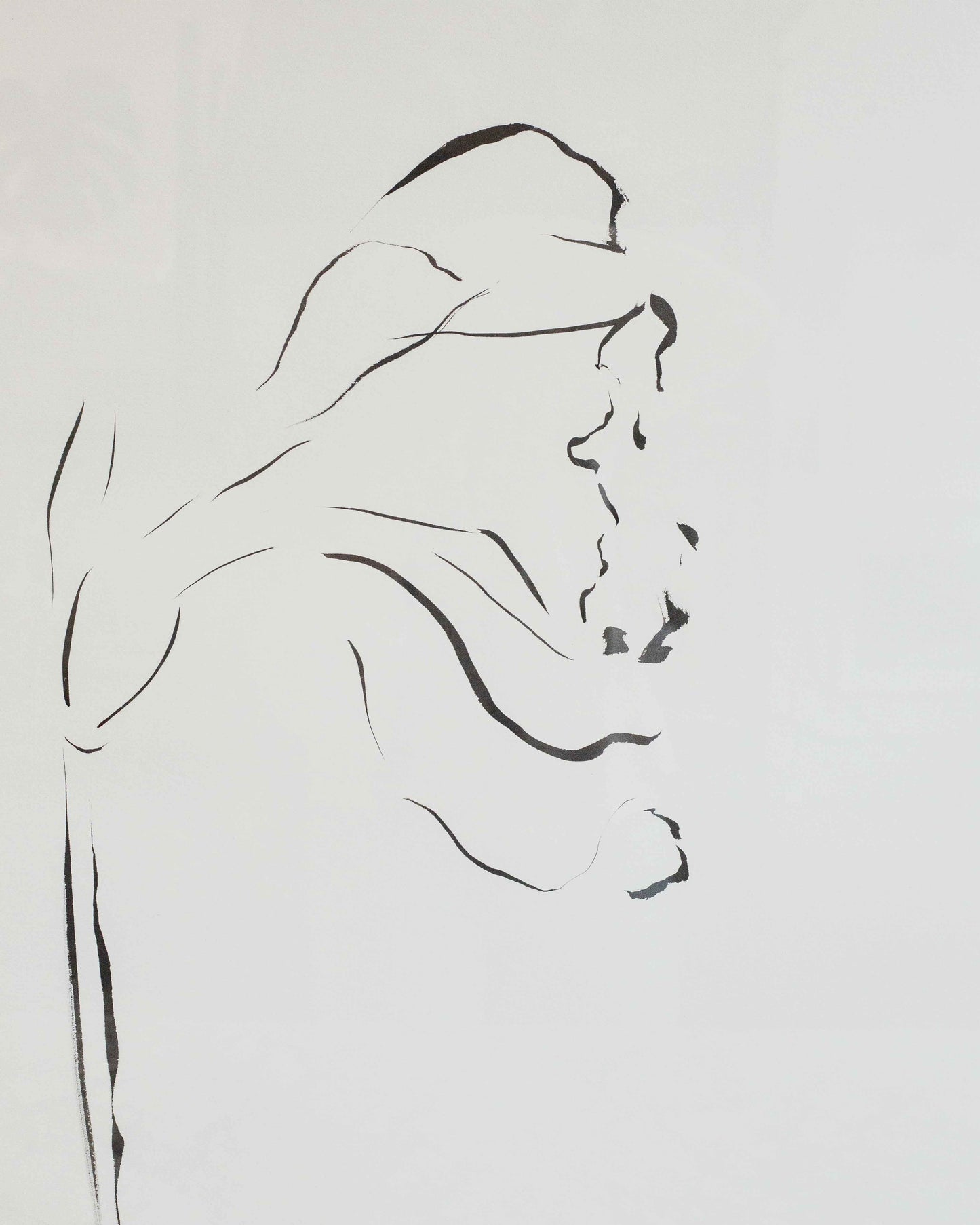 Daffodil Indian Ink Drawing 