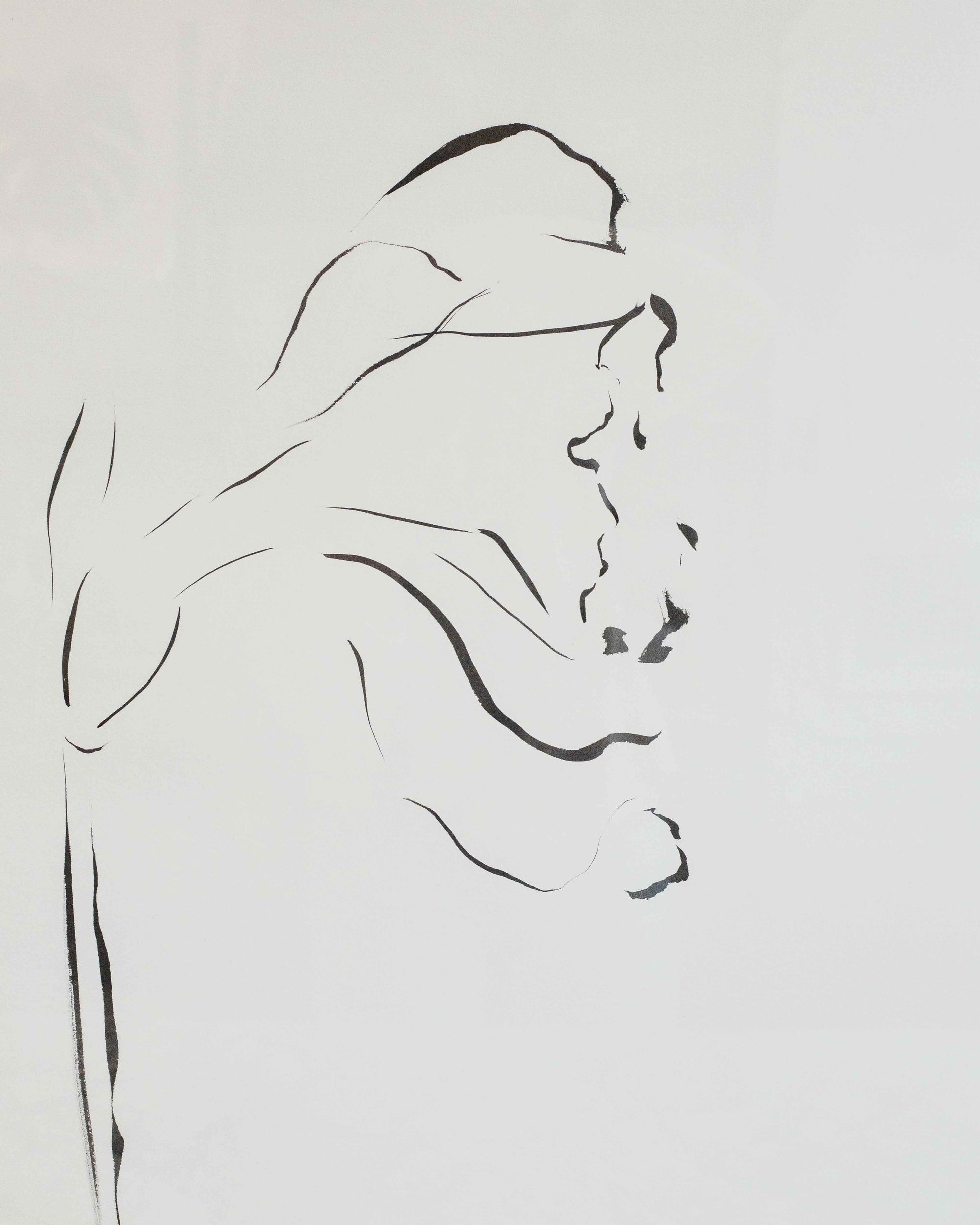 Daffodil Indian Ink Drawing 