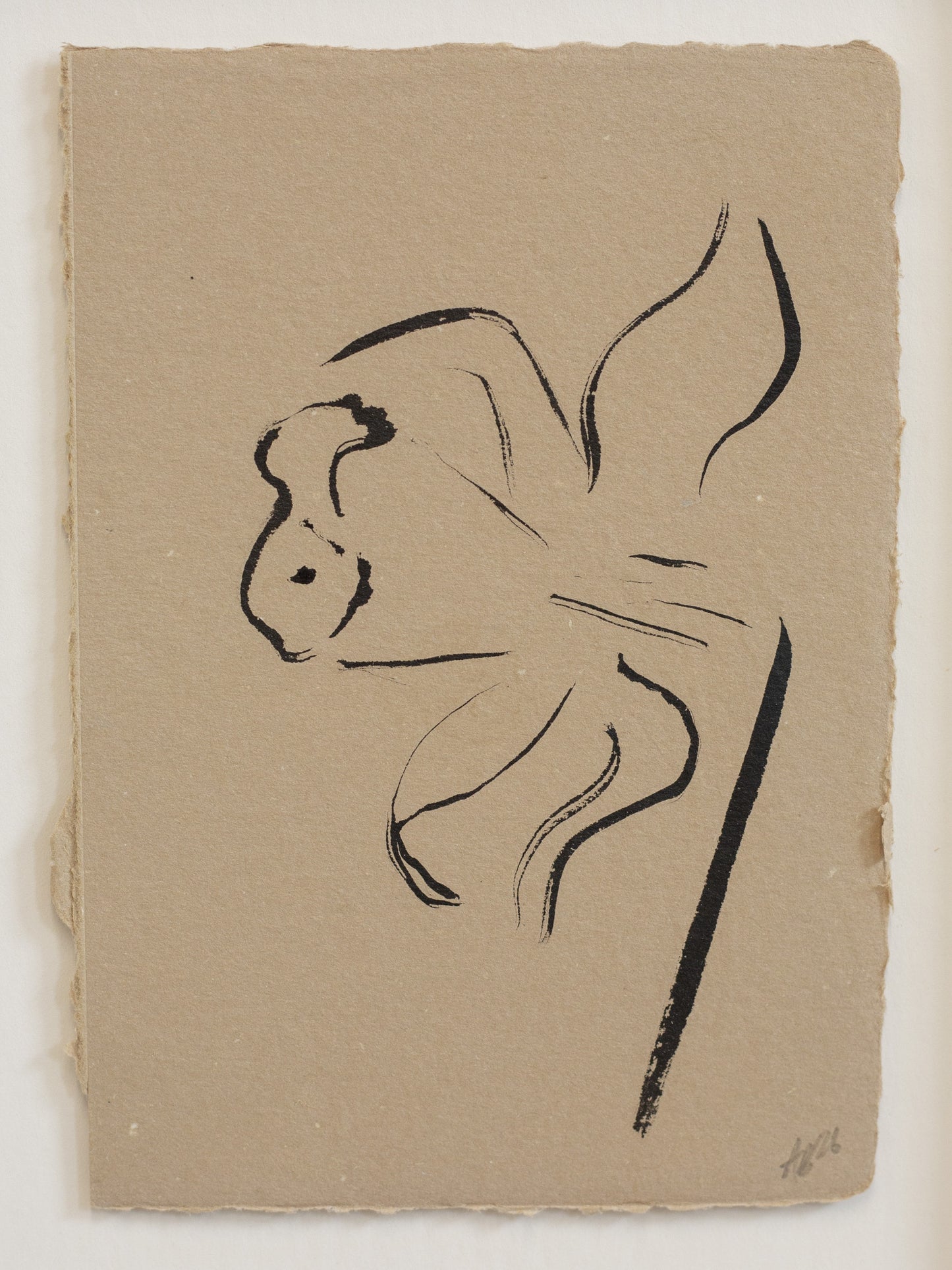 Close up of Indian ink drawing of daffodil flower on handmade beige paper 