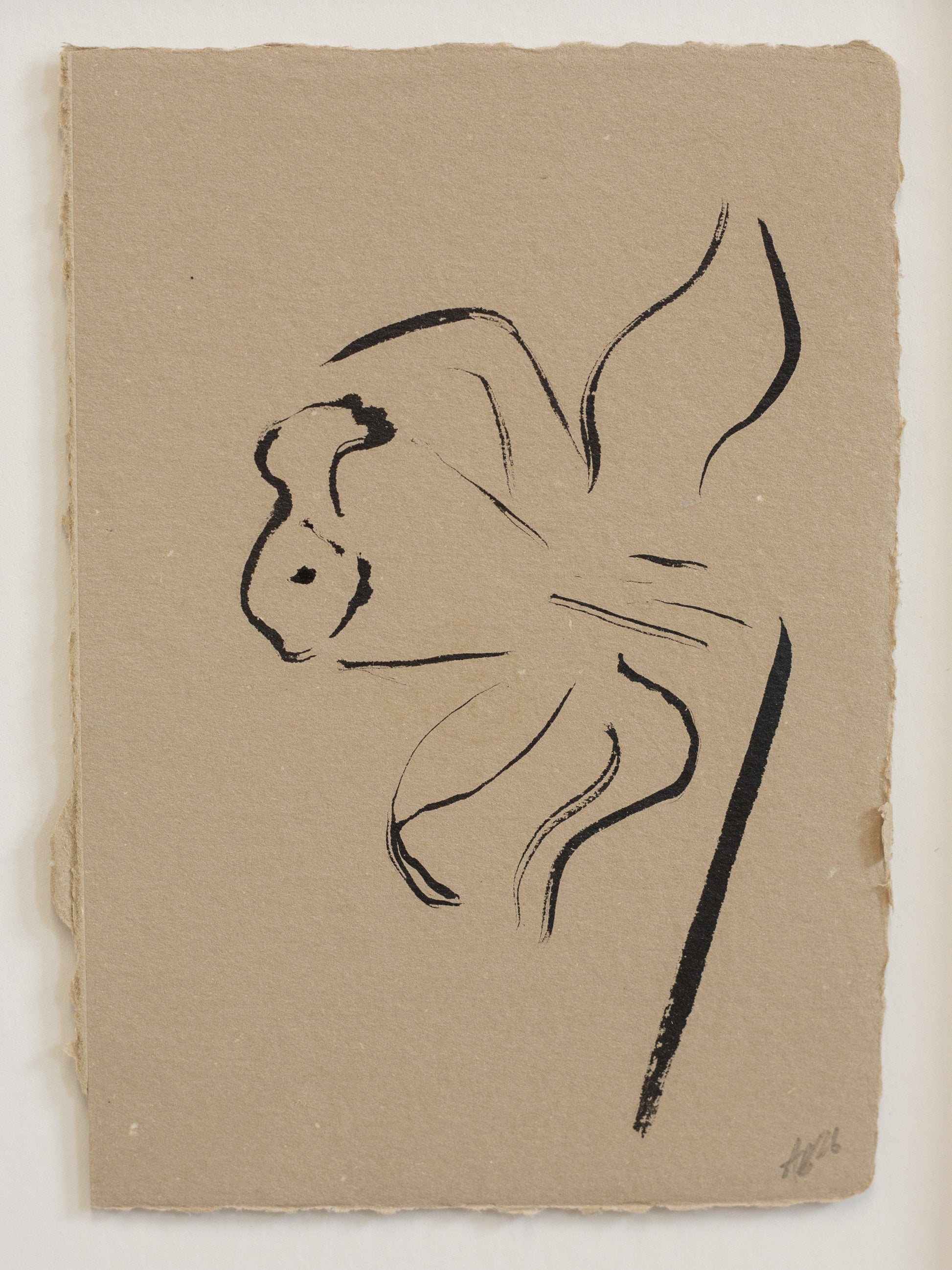 Close up of Indian ink drawing of daffodil flower on handmade beige paper 