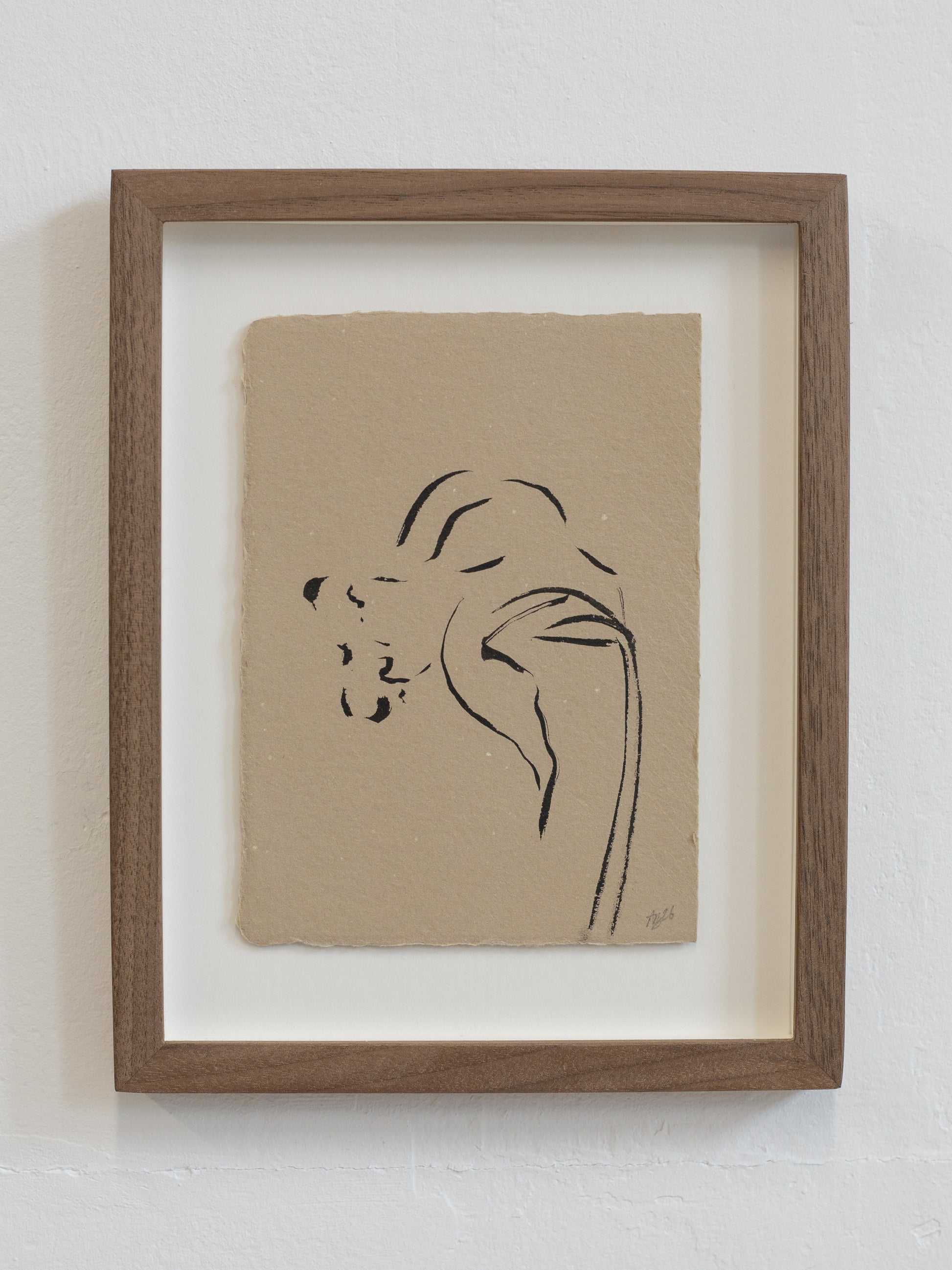 Framed minimalist floral line art of a daffodil on beige paper against a white wall.