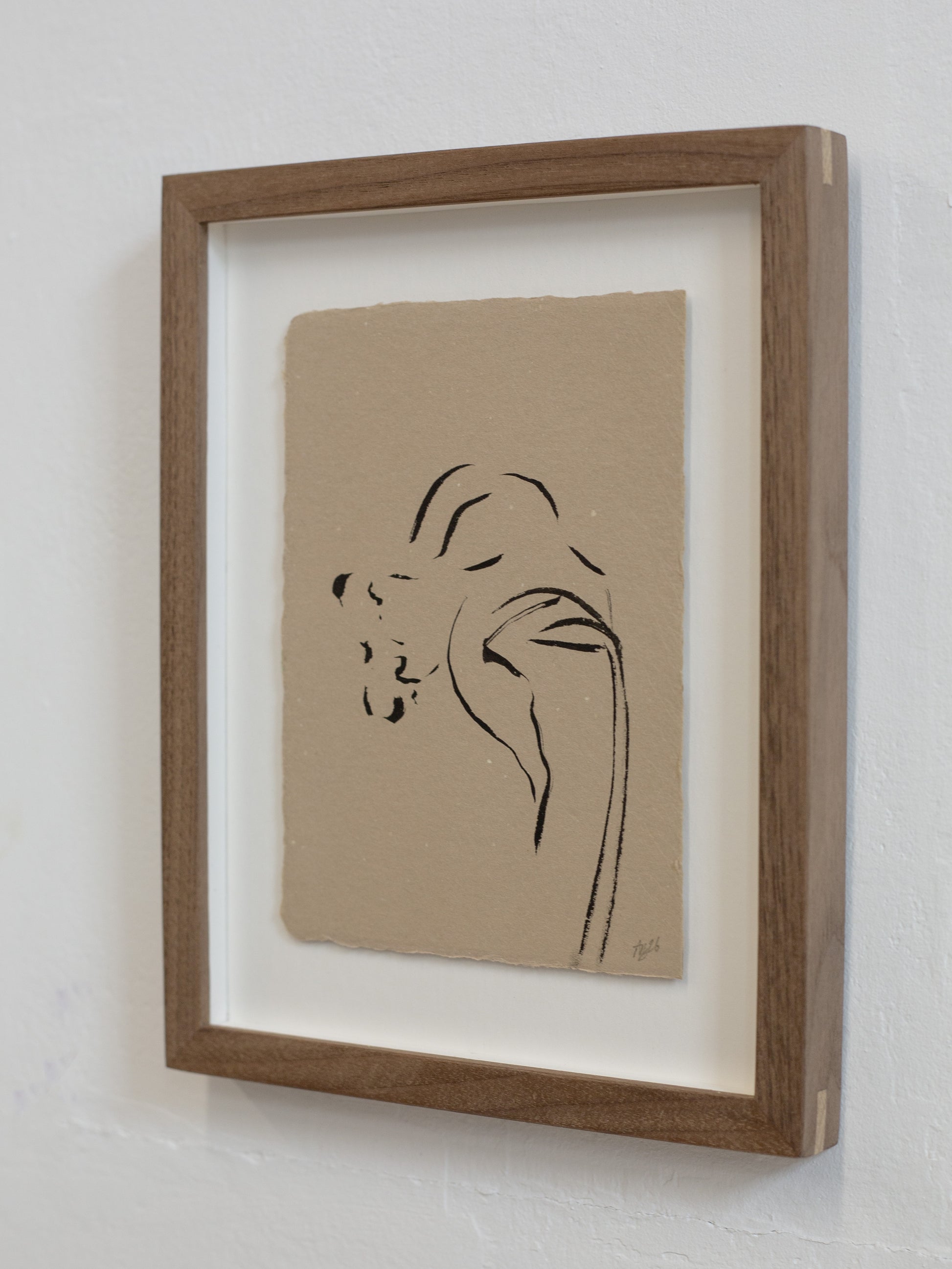 Framed line drawing of a daffodil on beige paper against a white wall