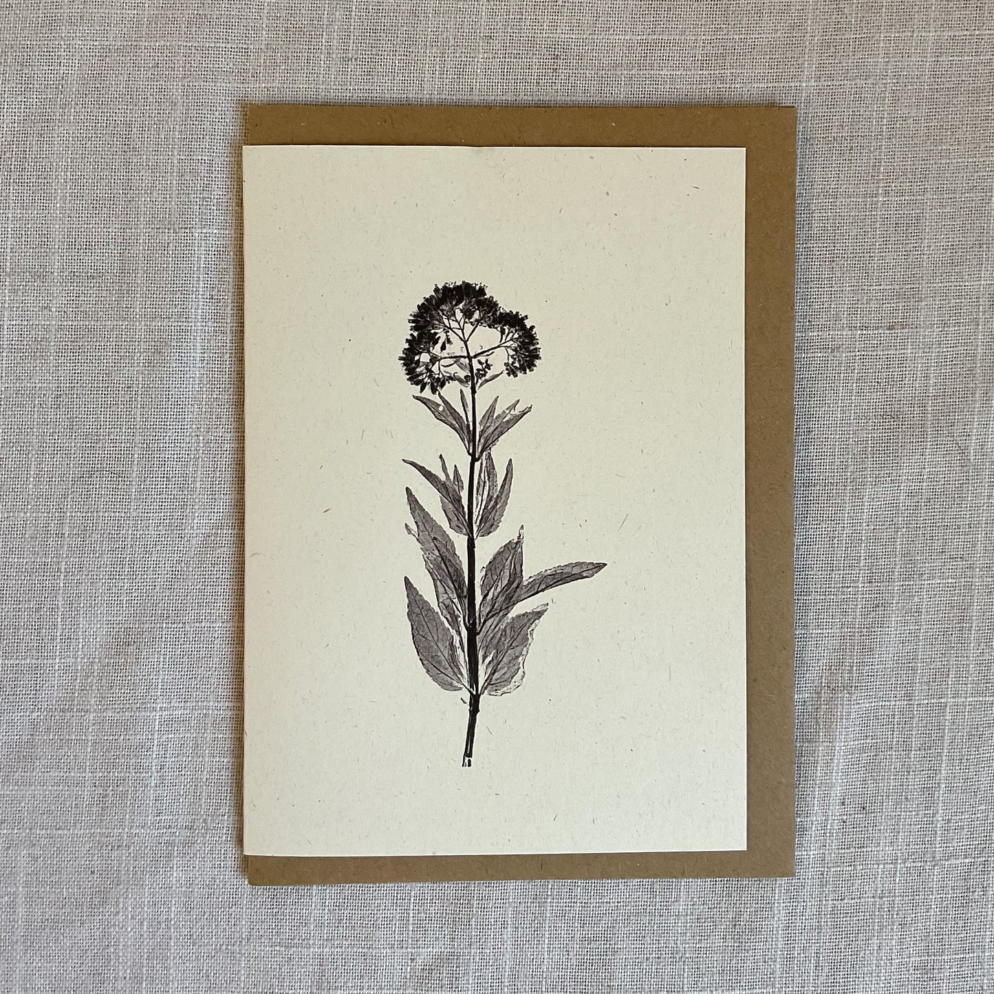 Botanical Greeting Cards