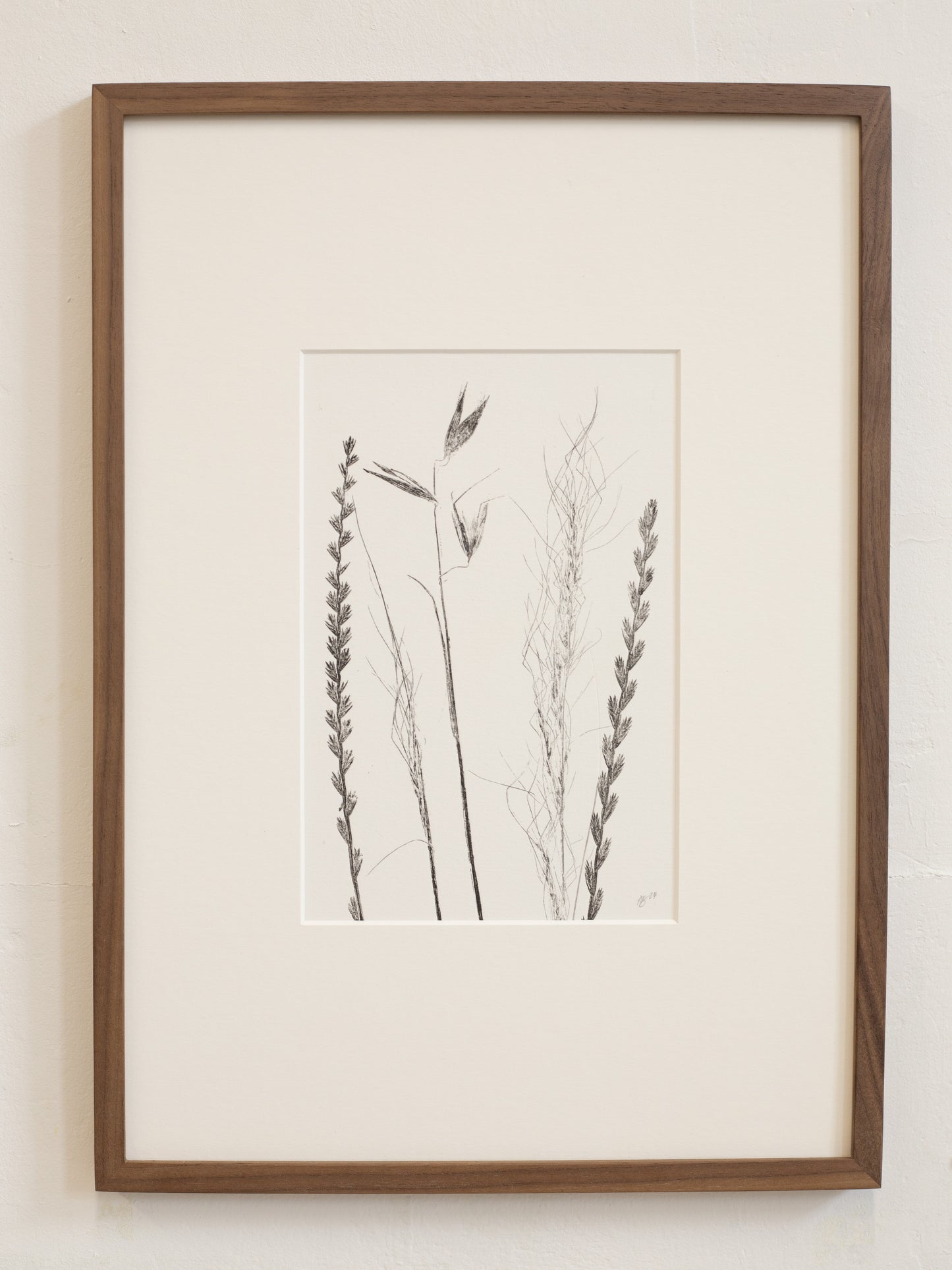 Framed botanical print of printed dried plants on a white wall