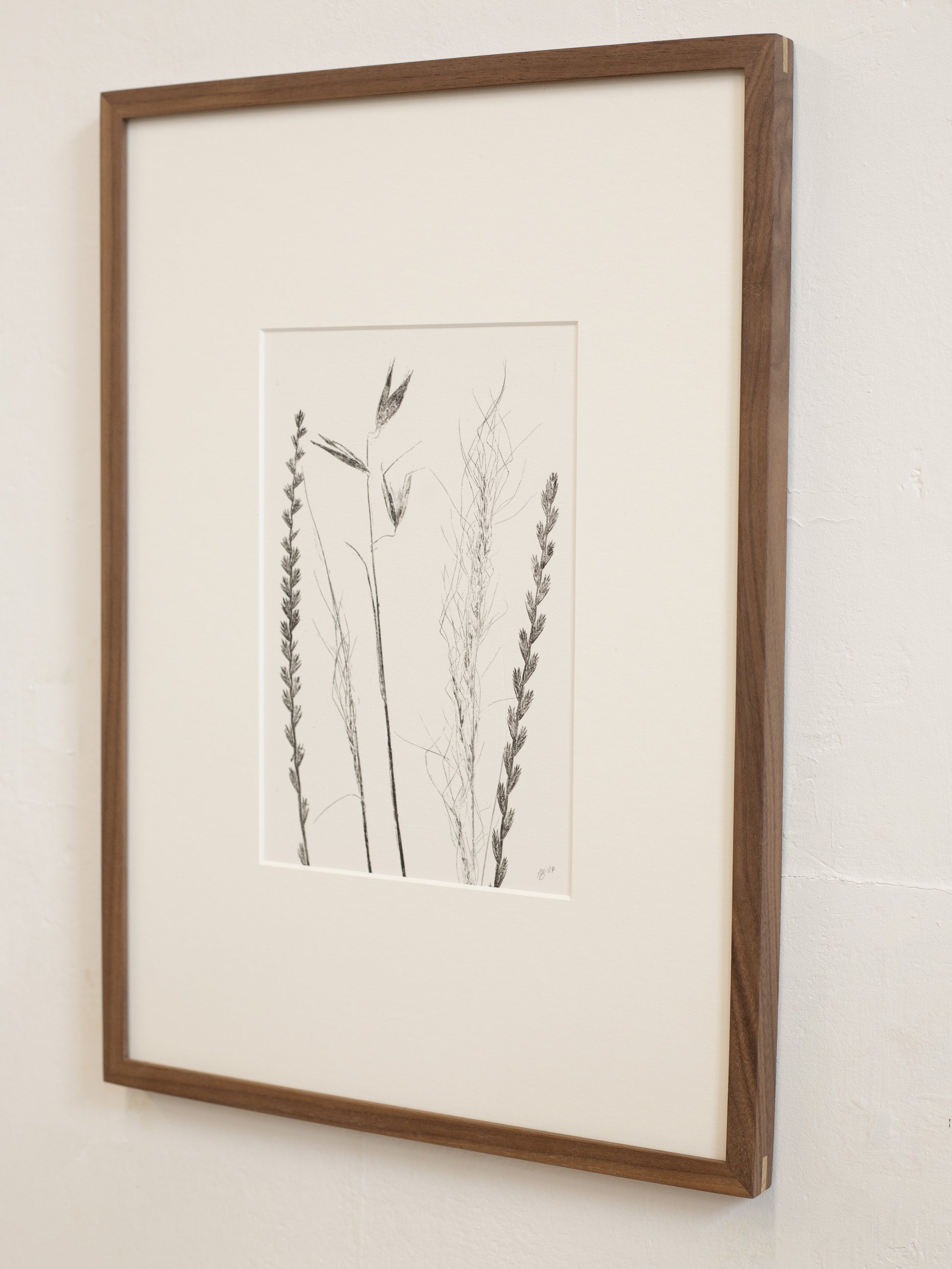 Framed black and white botanical print on a beige wall