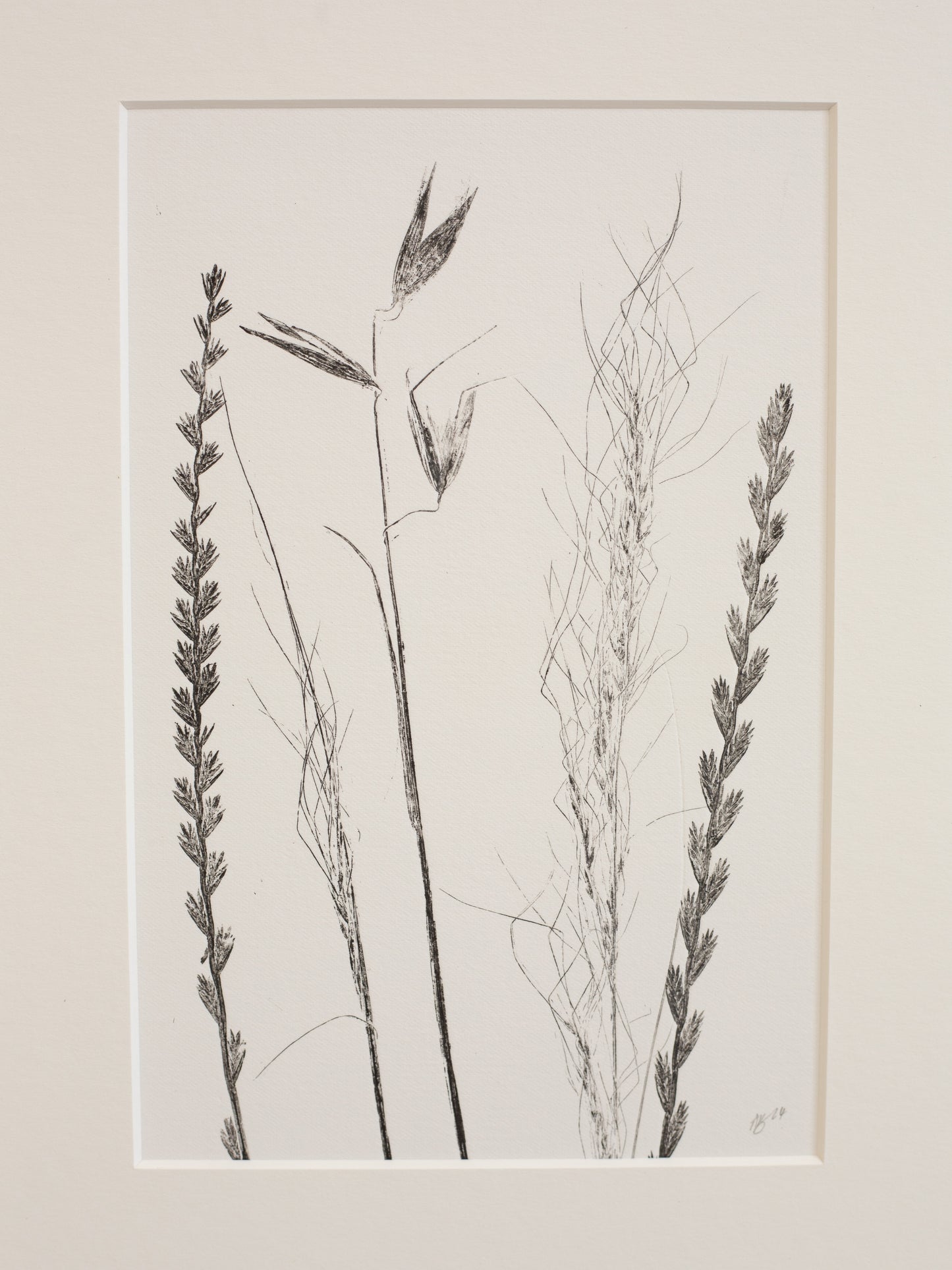 Framed botanical print of dried plants on a beige background