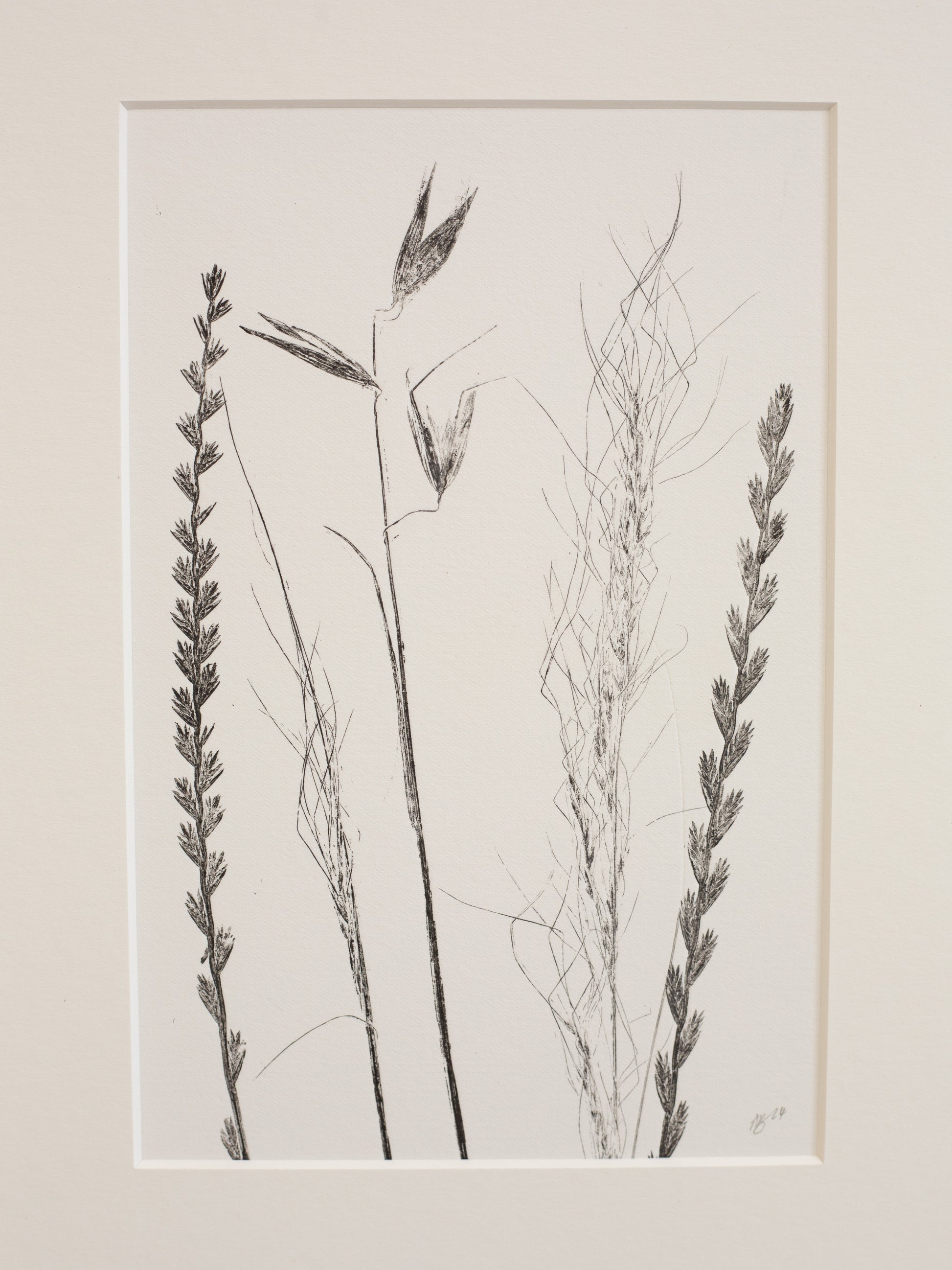 Framed botanical print of dried plants on a beige background