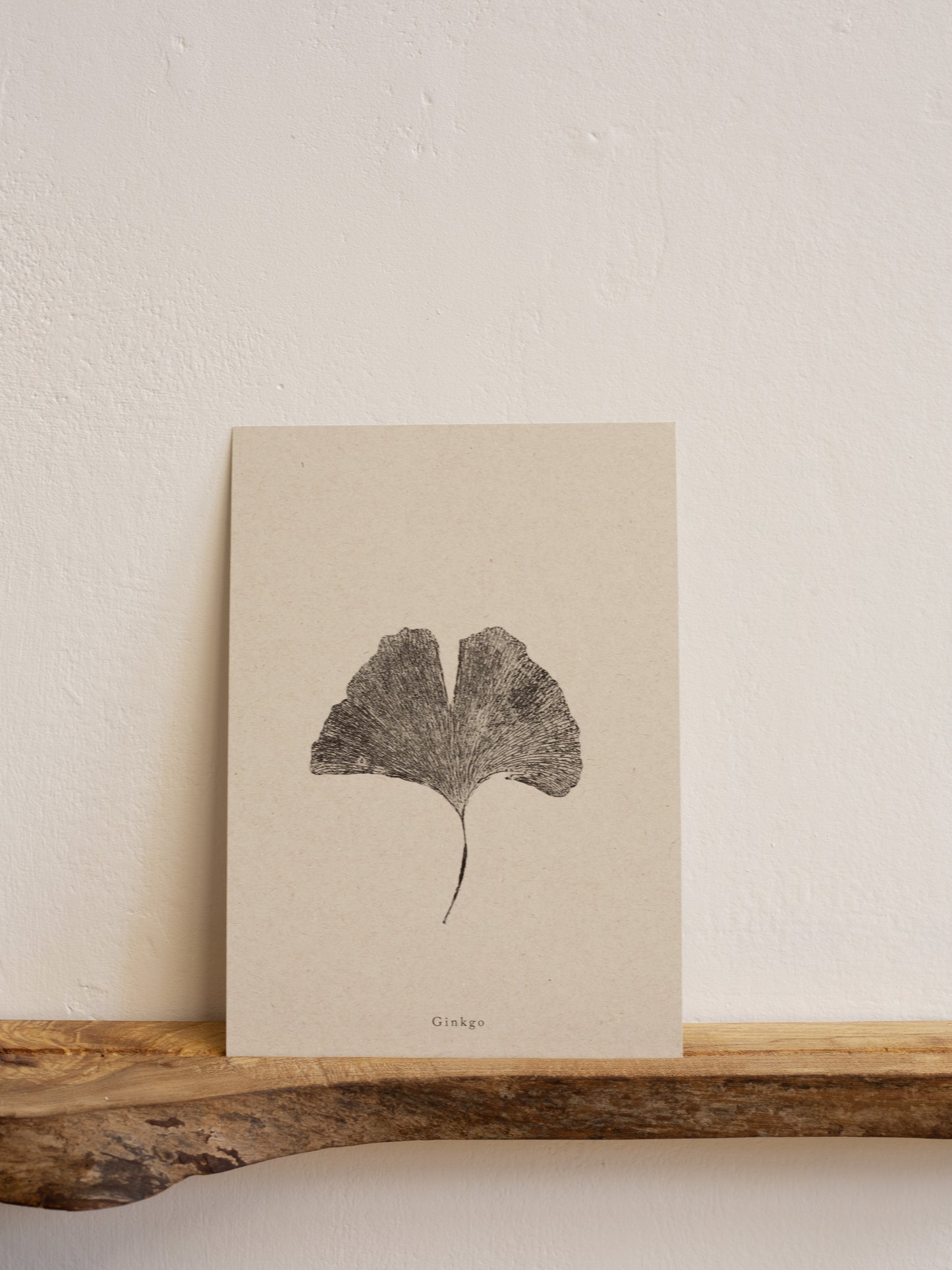 Ginkgo Leaf - Botanical Art Print