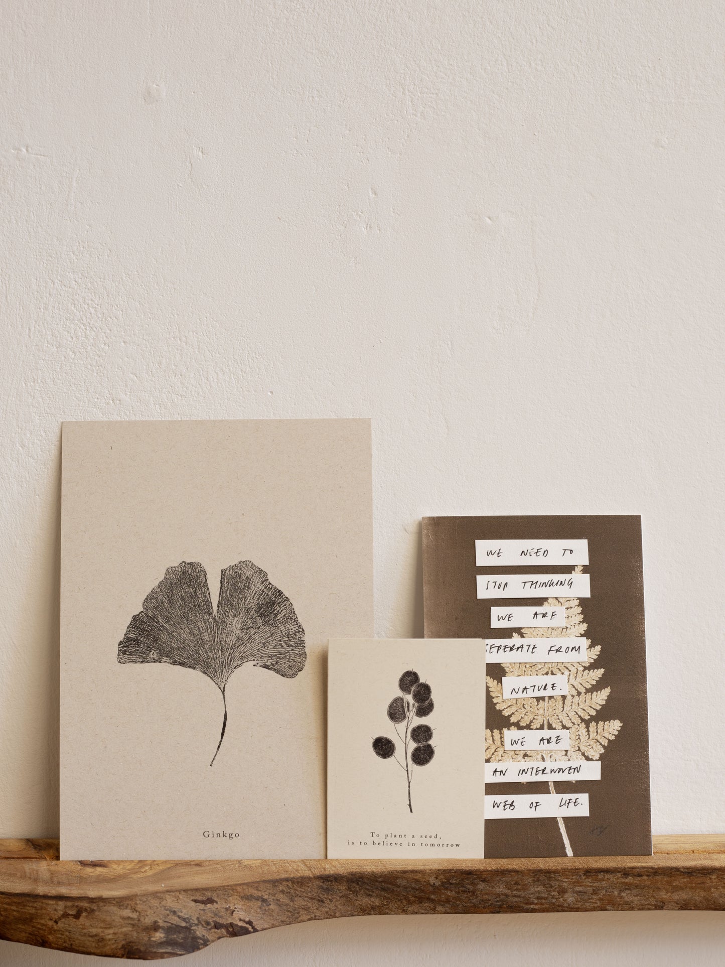 Ginkgo Leaf - Botanical Art Print