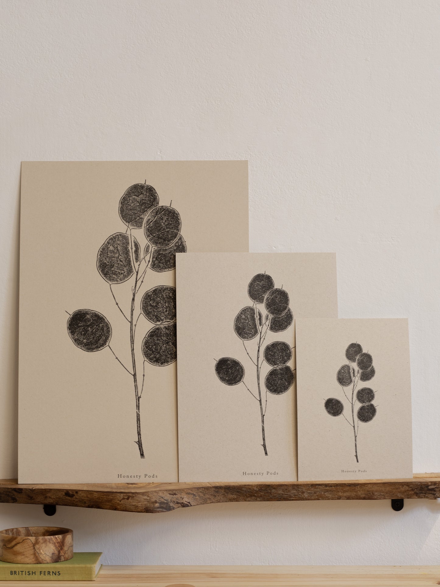 Honesty Pods - Botanical Art Print
