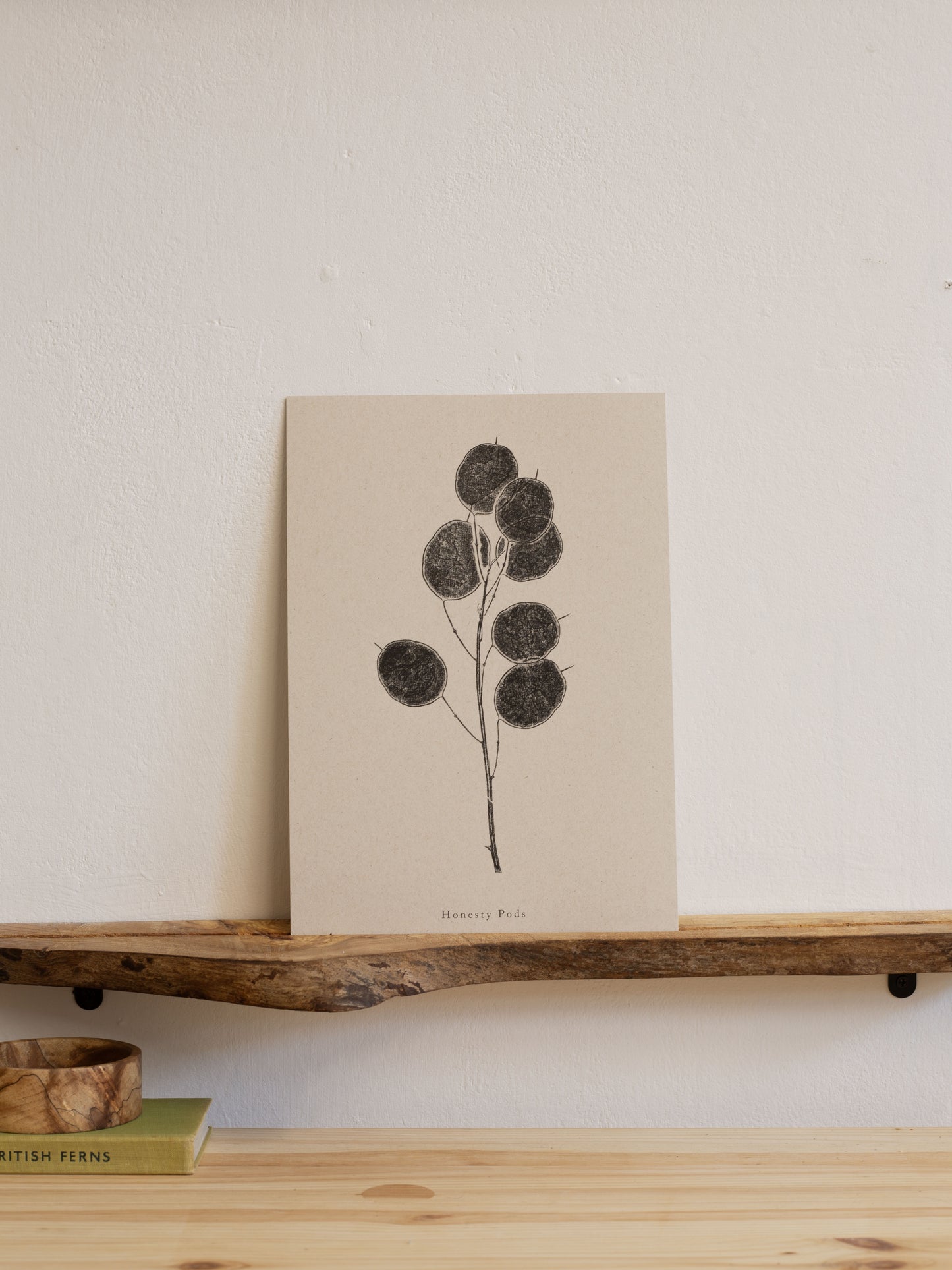Honesty Pods - Botanical Art Print