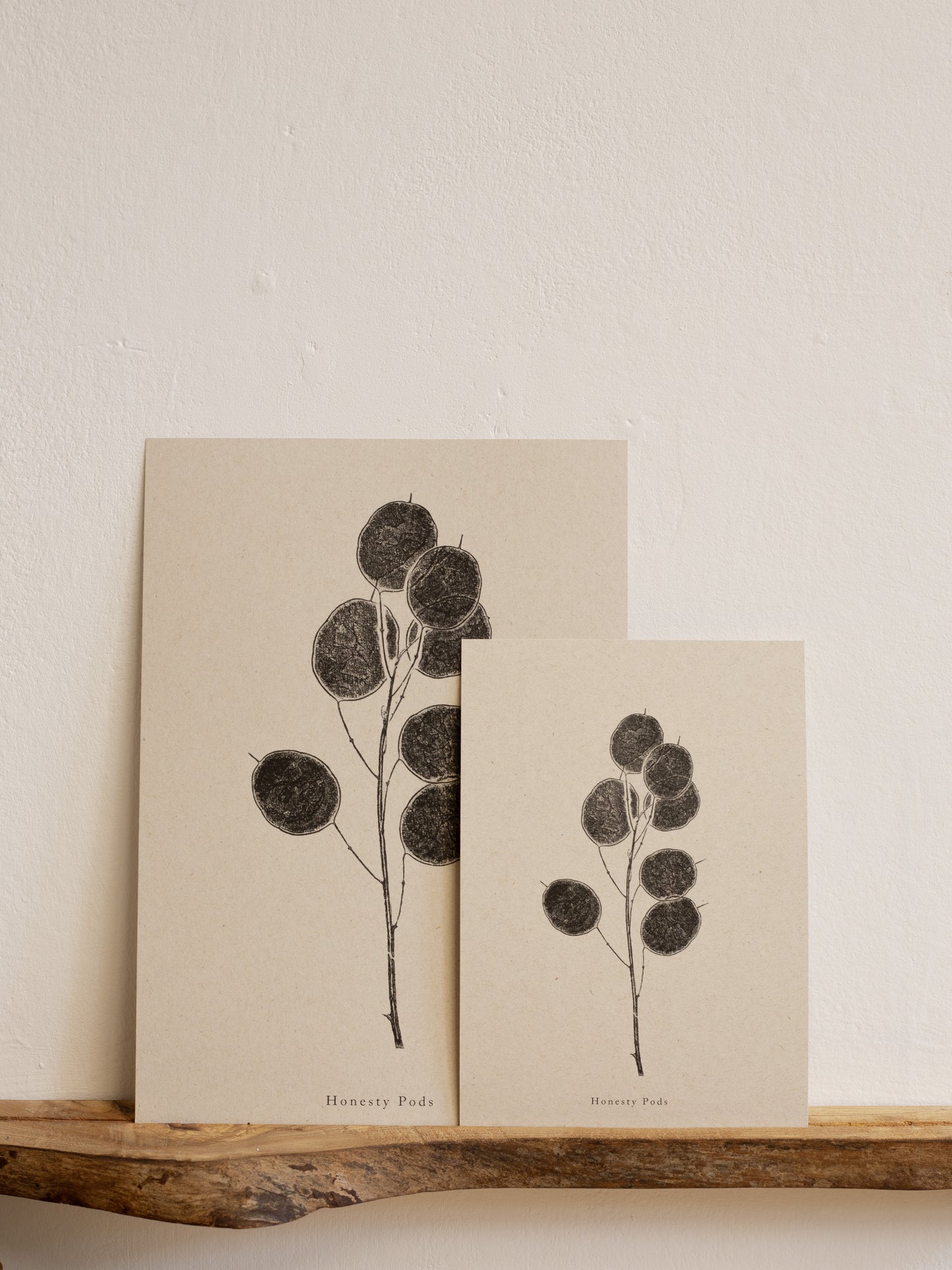 Honesty Pods - Botanical Art Print