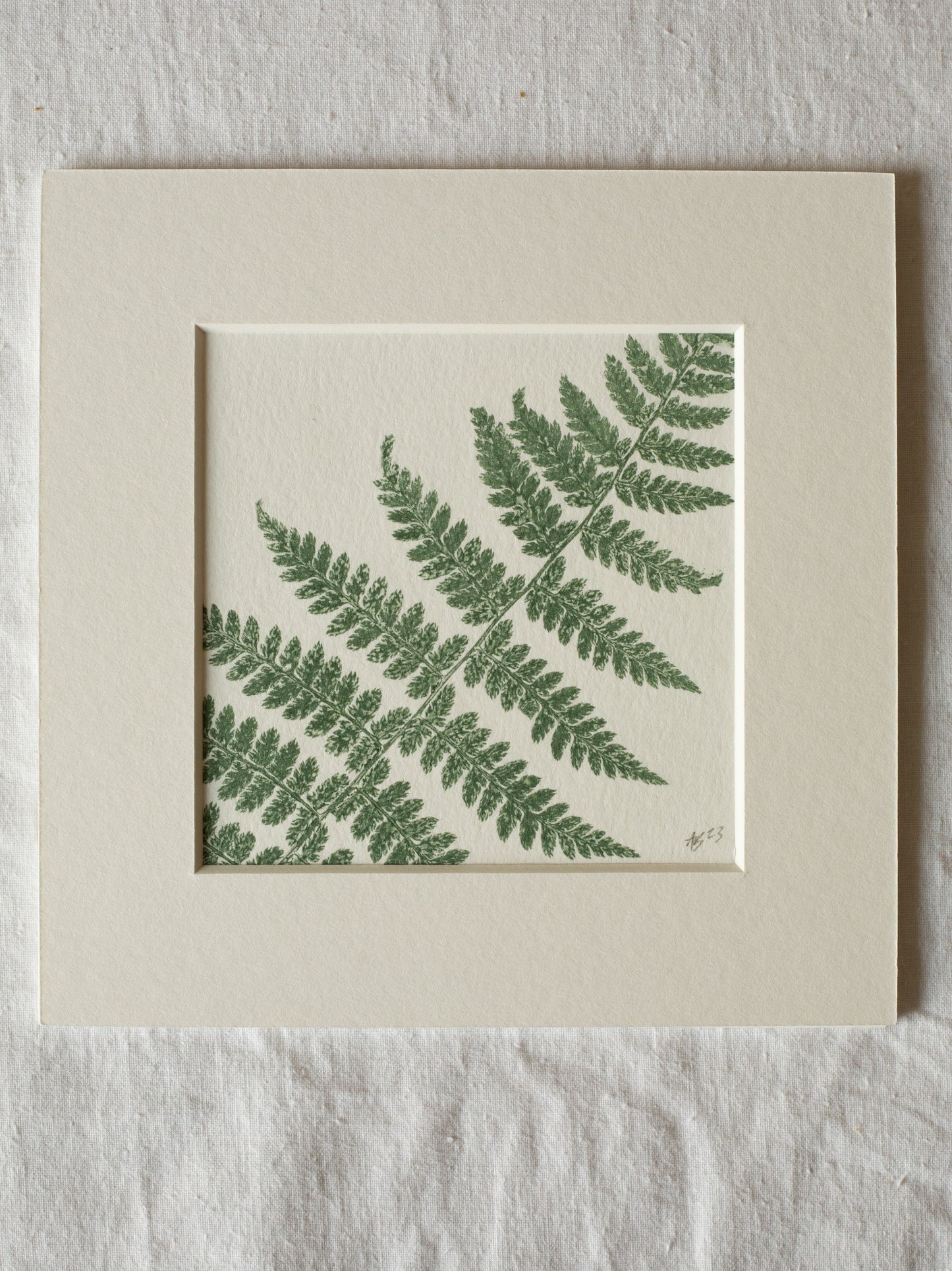 Fern 2 - Mounted Square Botanical Monoprint