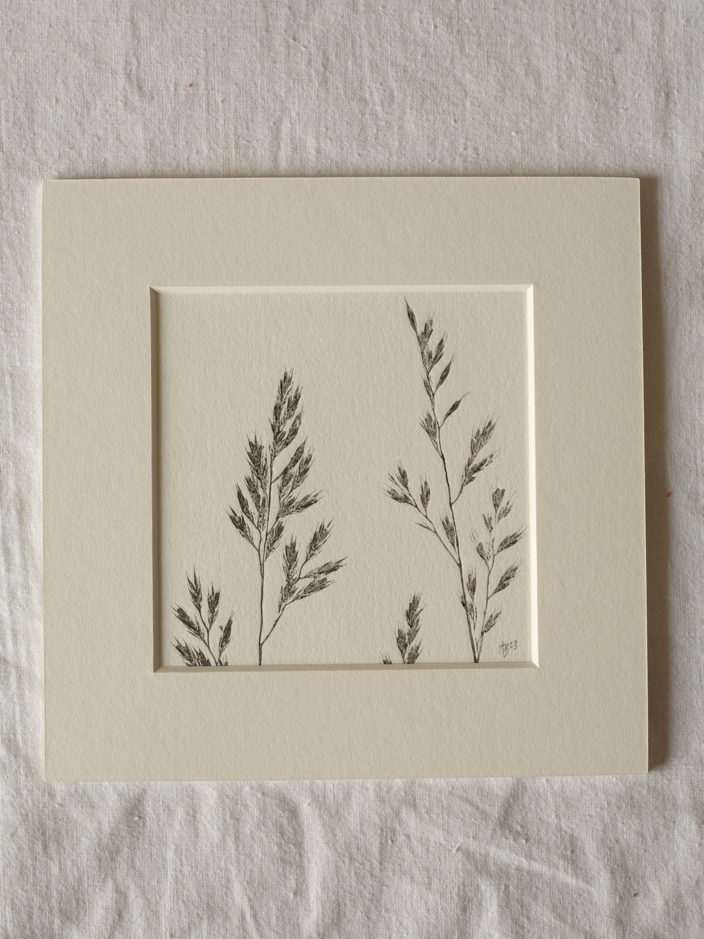 Grass 2 - Mounted Square Botanical Monoprint