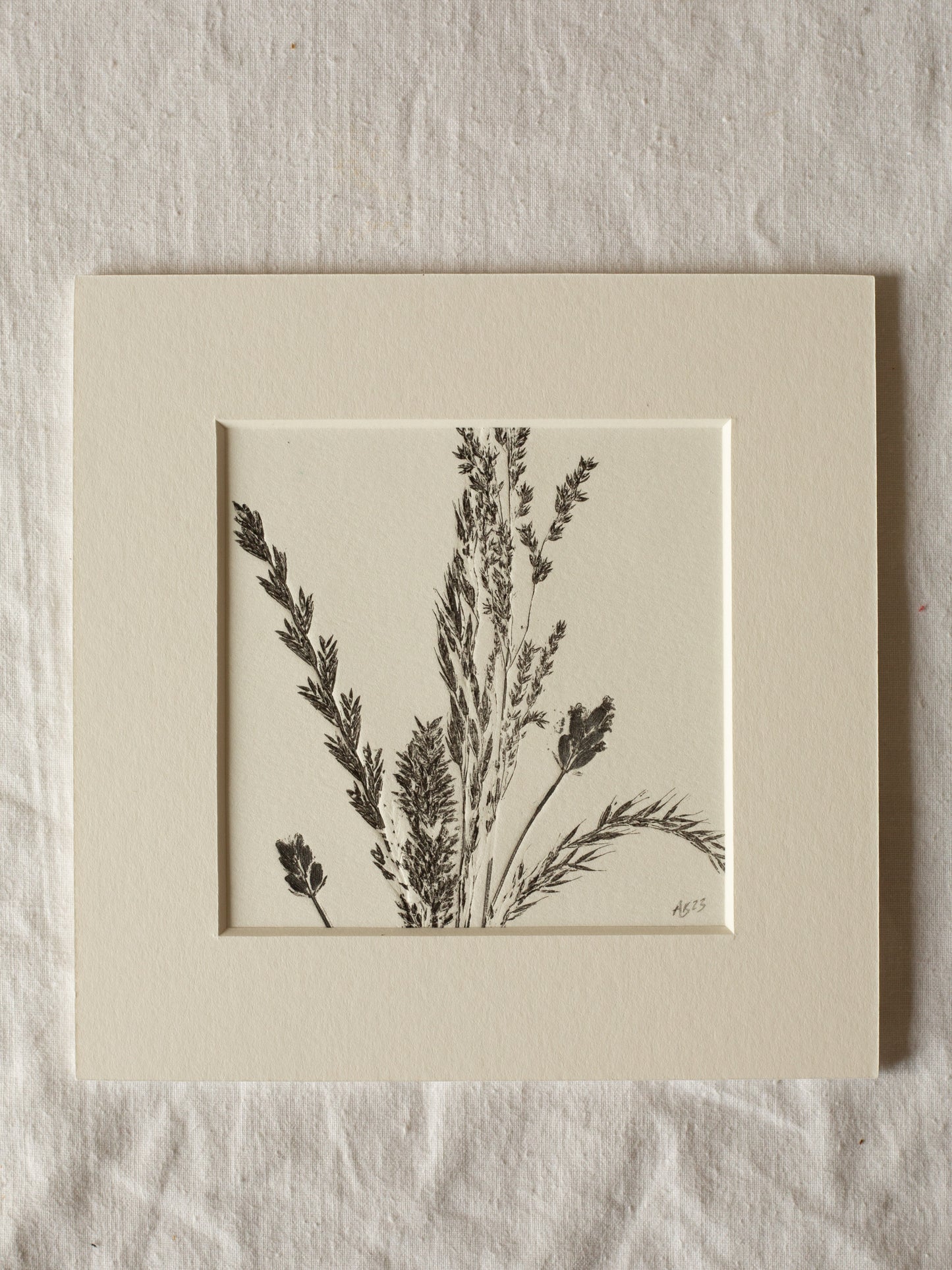 Grass 1 - Mounted Square Botanical Monoprint