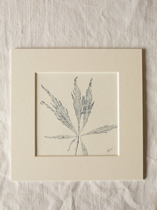 Acer leaf 2 - Mounted Square Botanical Monoprint