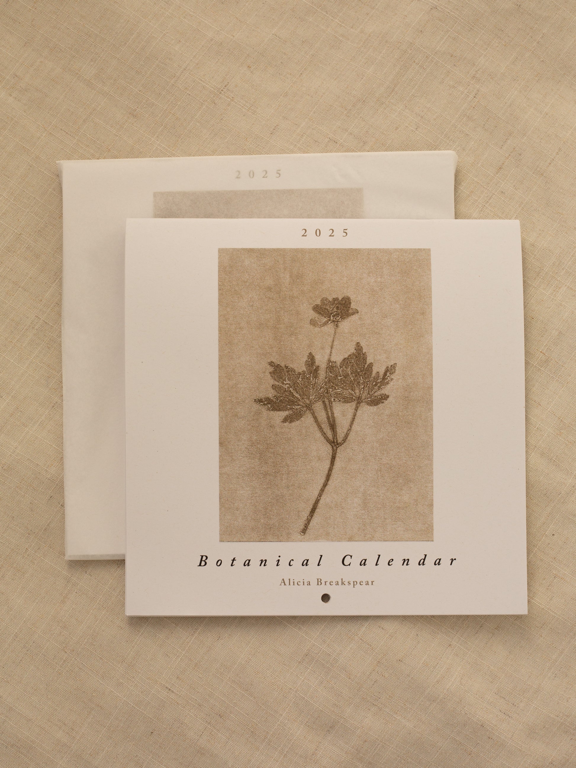 2025 wall calendar with botanical monoprint illustrations