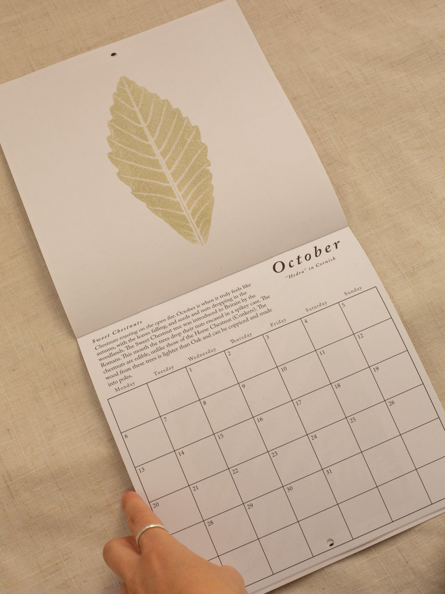 Open 2025 wall calendar of October with a Sweet Chestnut leaf in sage green