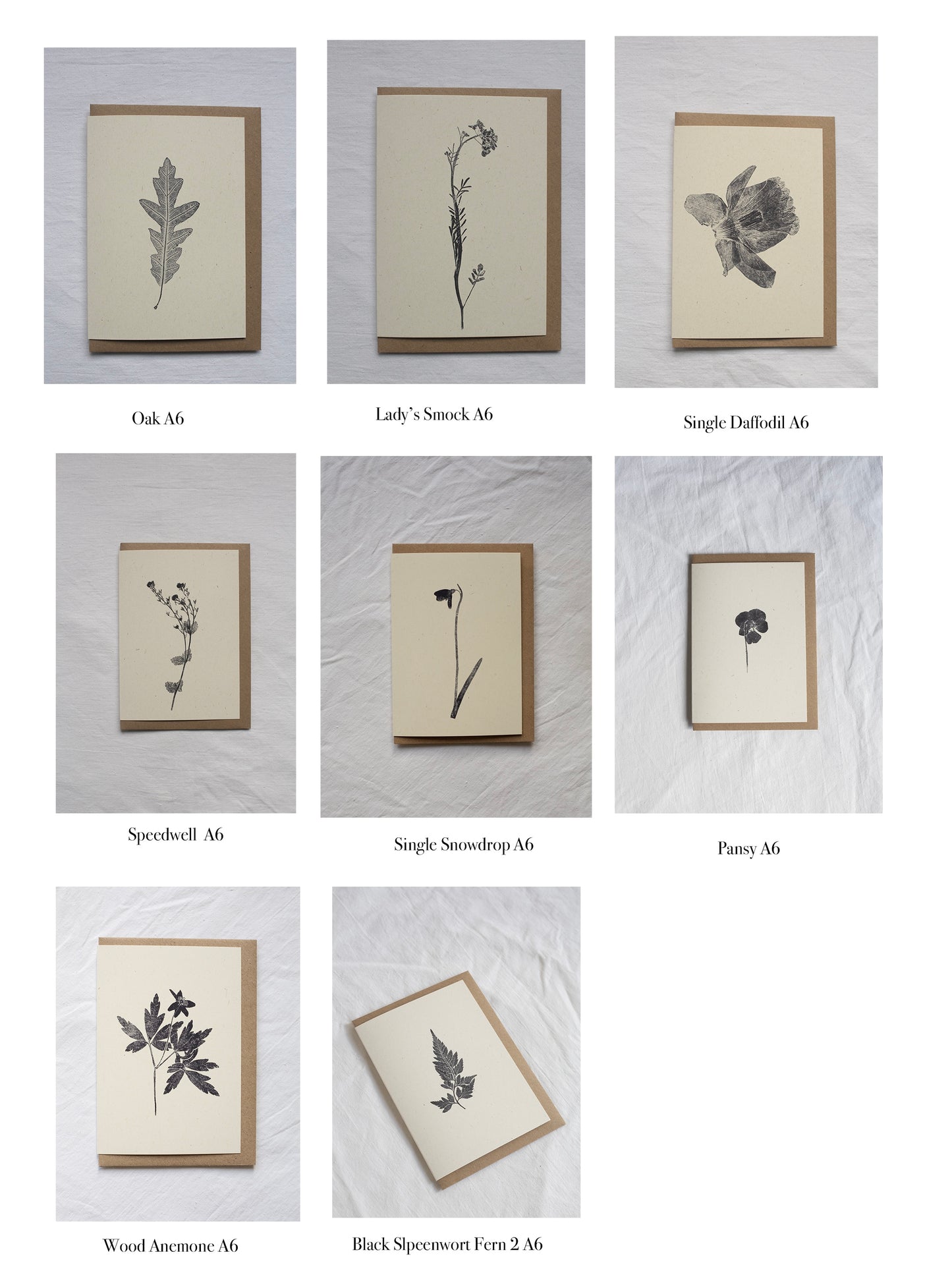 Botanical Greeting Cards - Pick Your 4